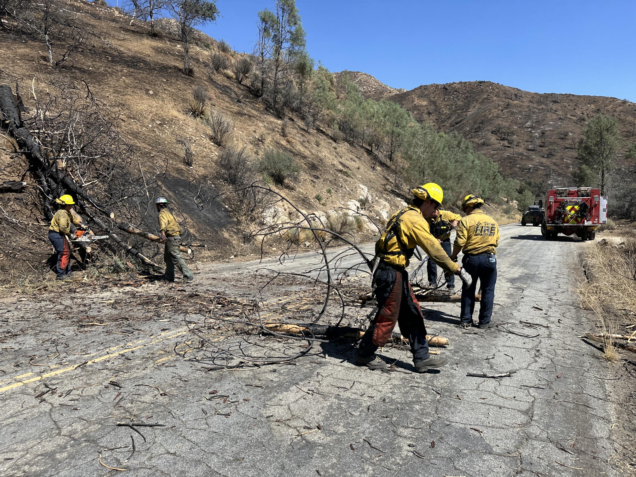 Firefighters wearing blue pants, yellow shirts, and hart hats clear fire damaged trees from a roadway. One wears chaps and carries an axe. A firetruck and chase vehicle are in the background