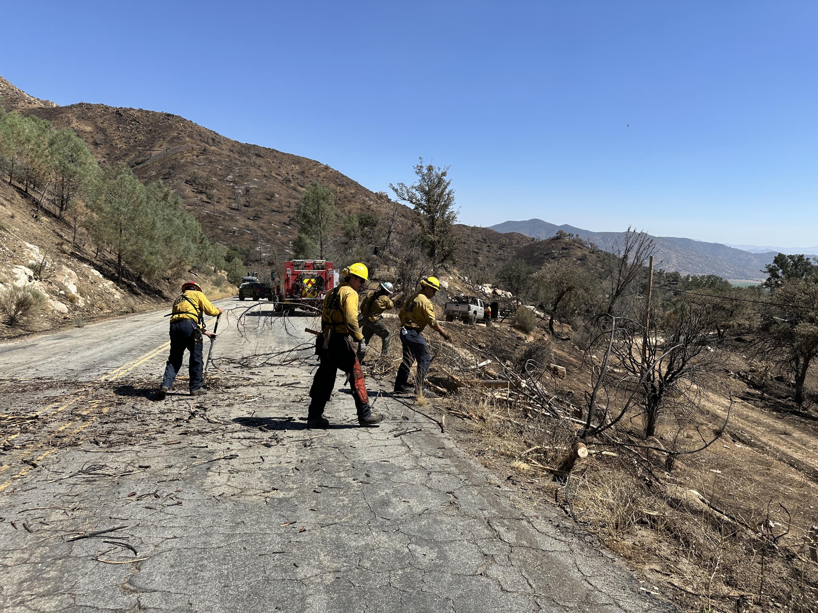 Firefighters wearing blue pants, yellow shirts, and hart hats clear fire damaged trees from a roadway. One wears chaps and carries an axe. A firetruck and chase vehicle are in the background