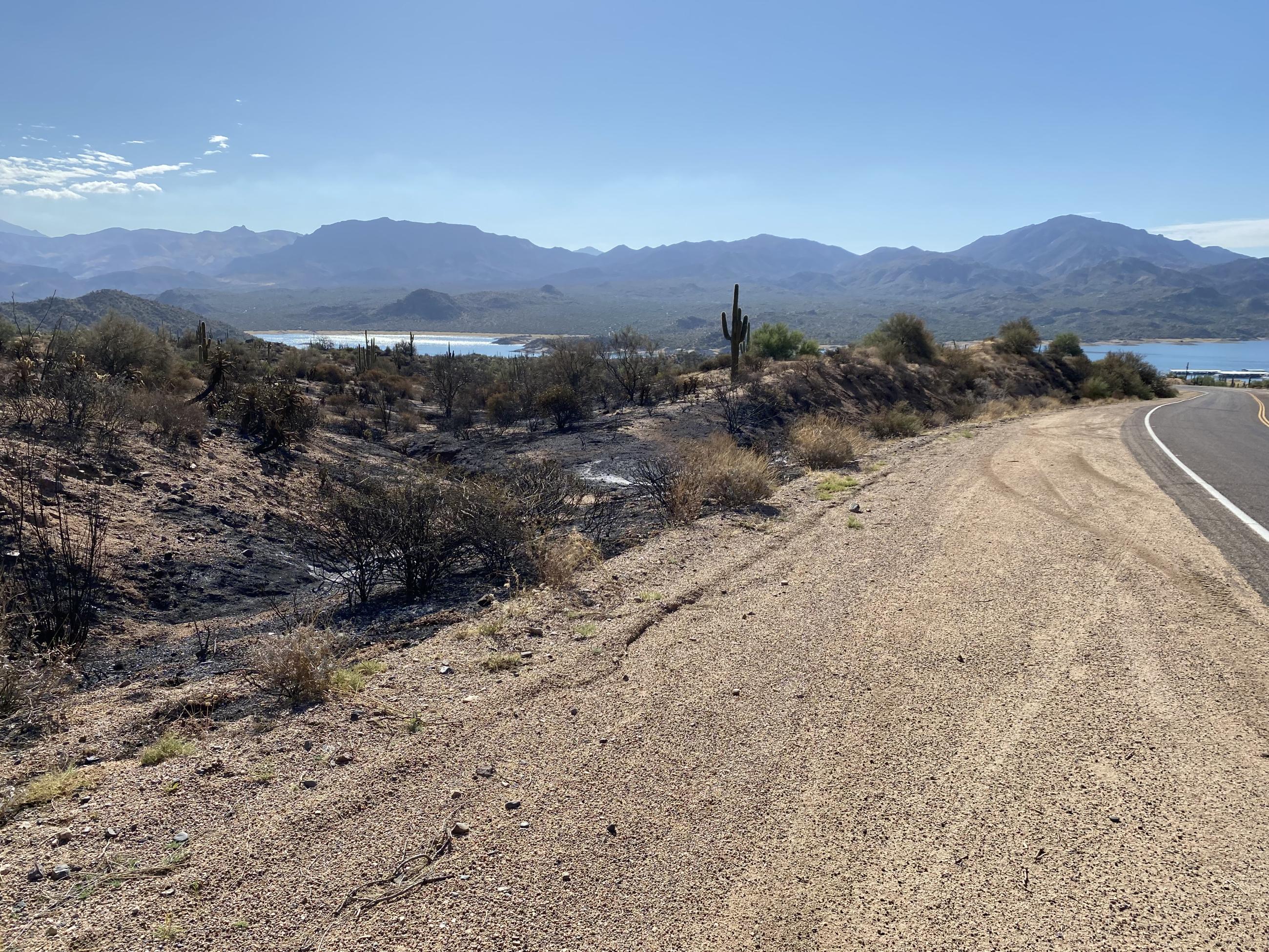 August 8, 2024 - Burned area at Bartlett Lake