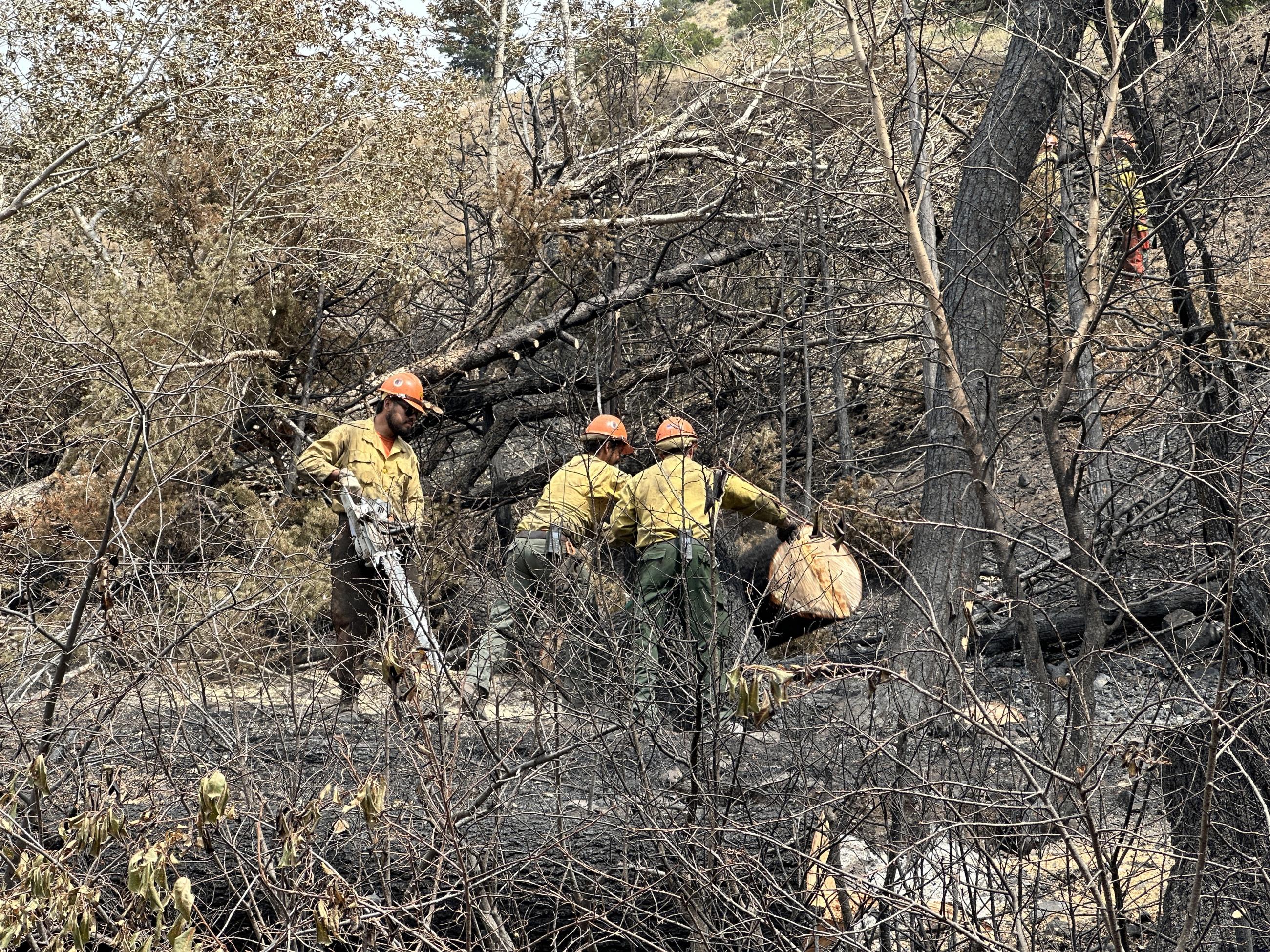 Four fighters dressed in protective gear move a felled tree out of the way