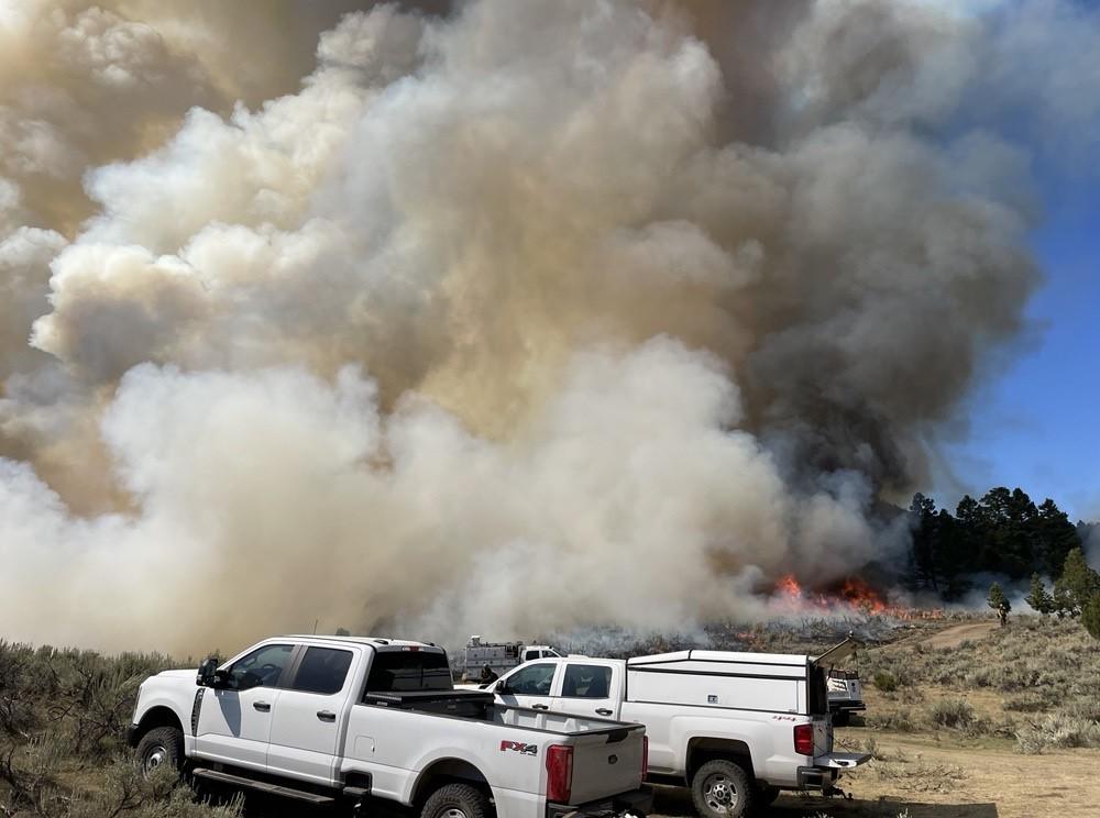 Large smoke plumes rising from the forest fuels in front of agency vehicles. Firefighters watching the burn closely.