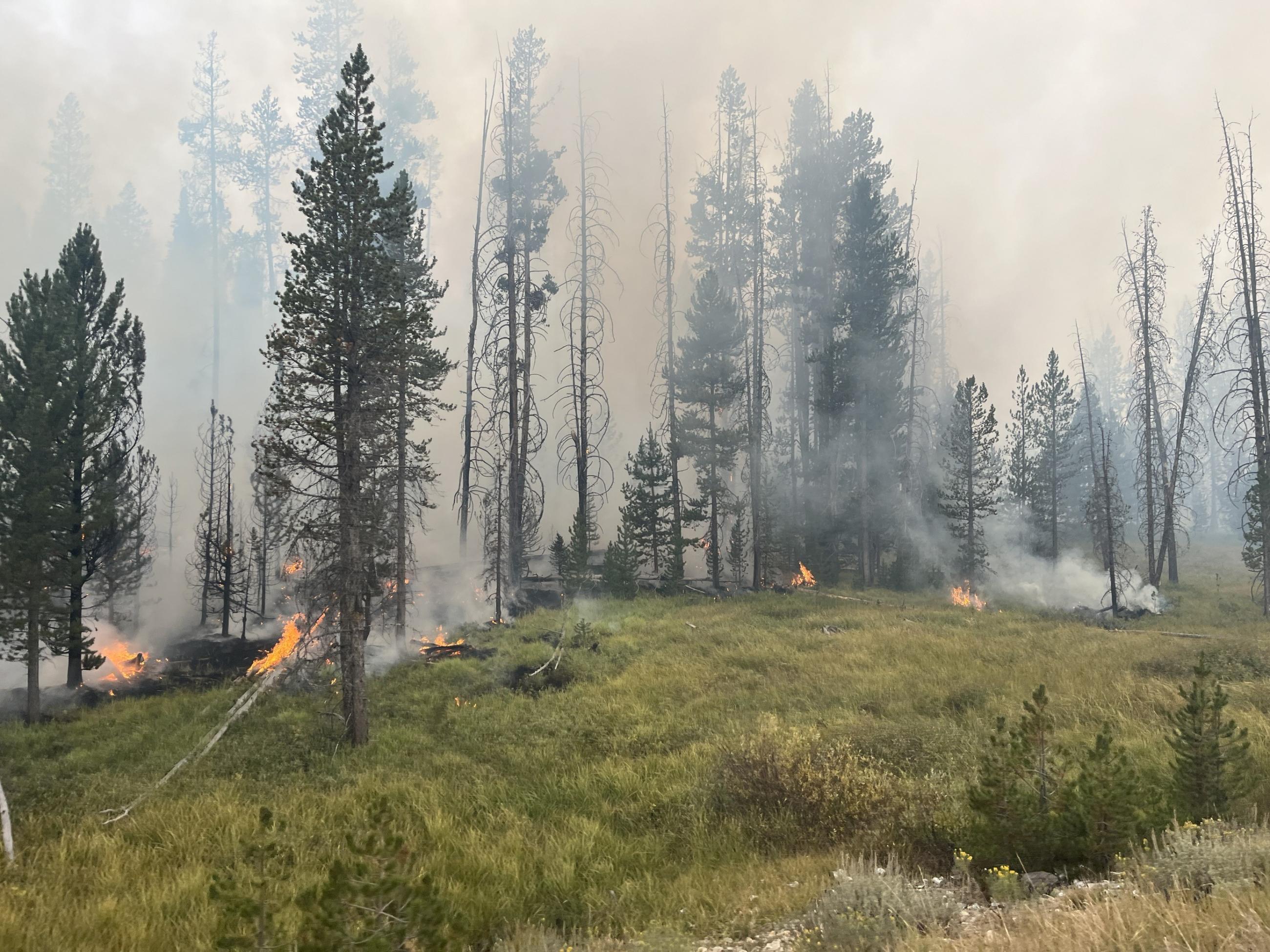 low intensity fire burns along Hwy 21 on August 24