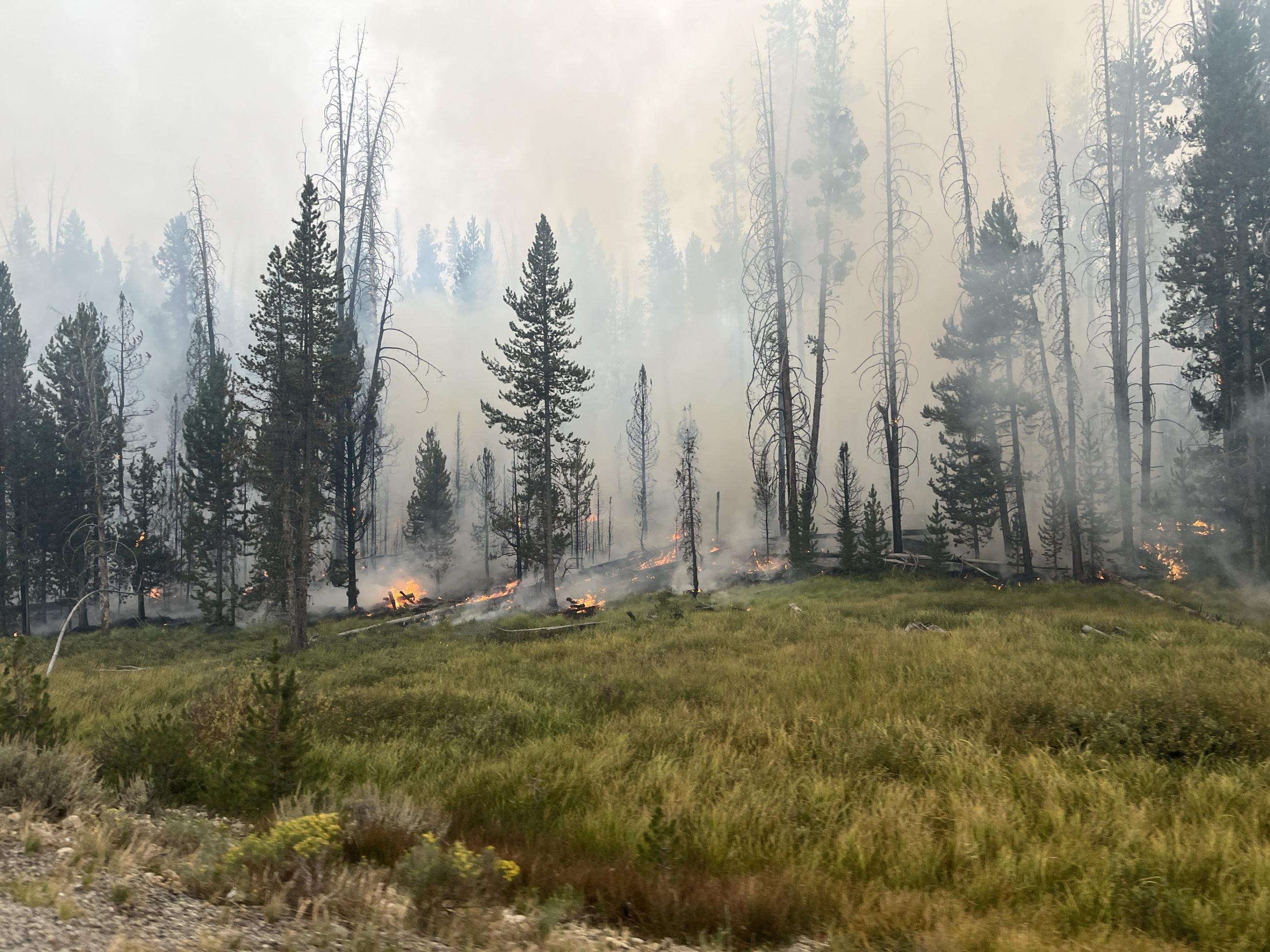 low intensity Fire Burns Along Hwy 21 on Saturday, August 24