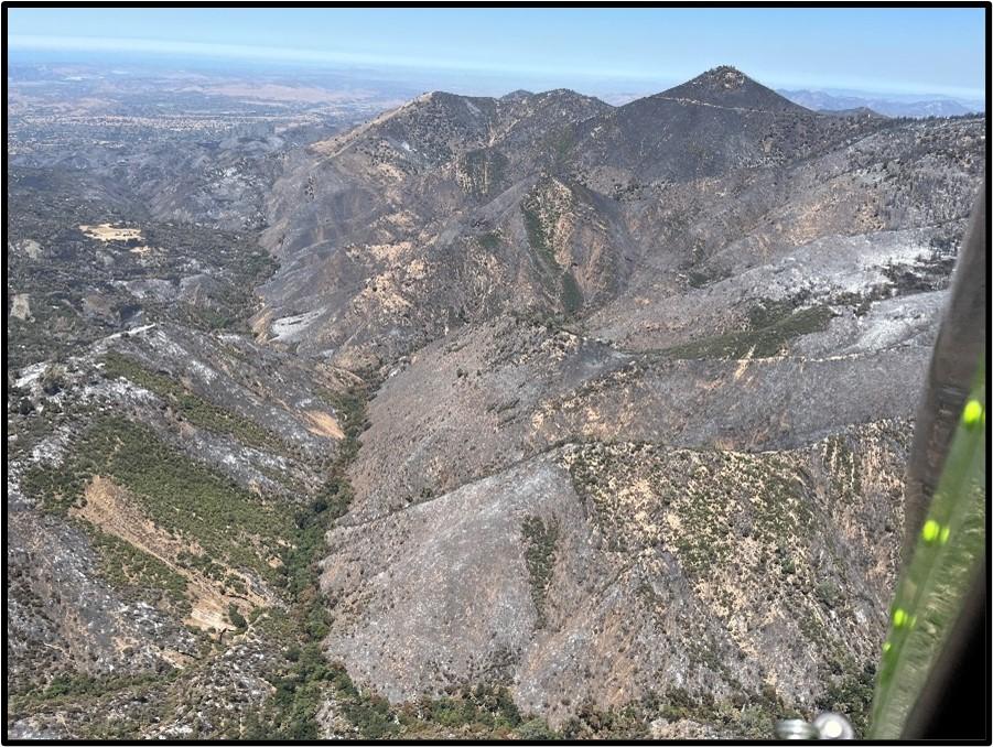 Image showing an Aerial View of the Lake Burned Area