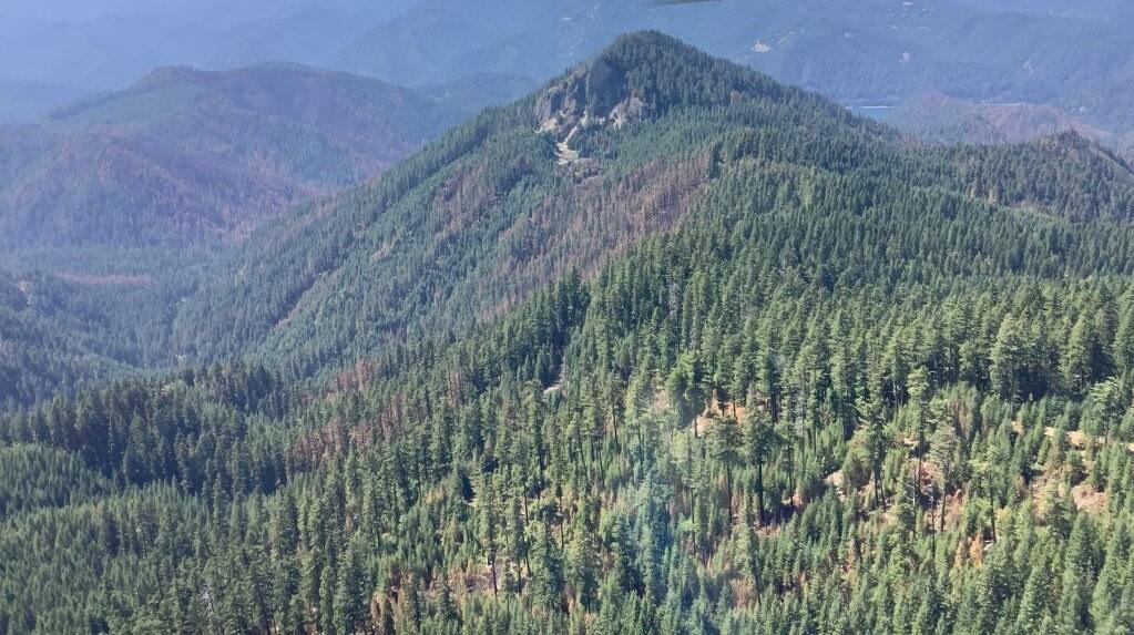 Picture from a helicopter showing small area where trees have burned.