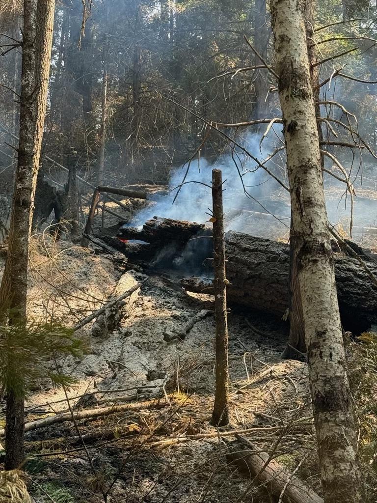 large burnt log on the ground smoking