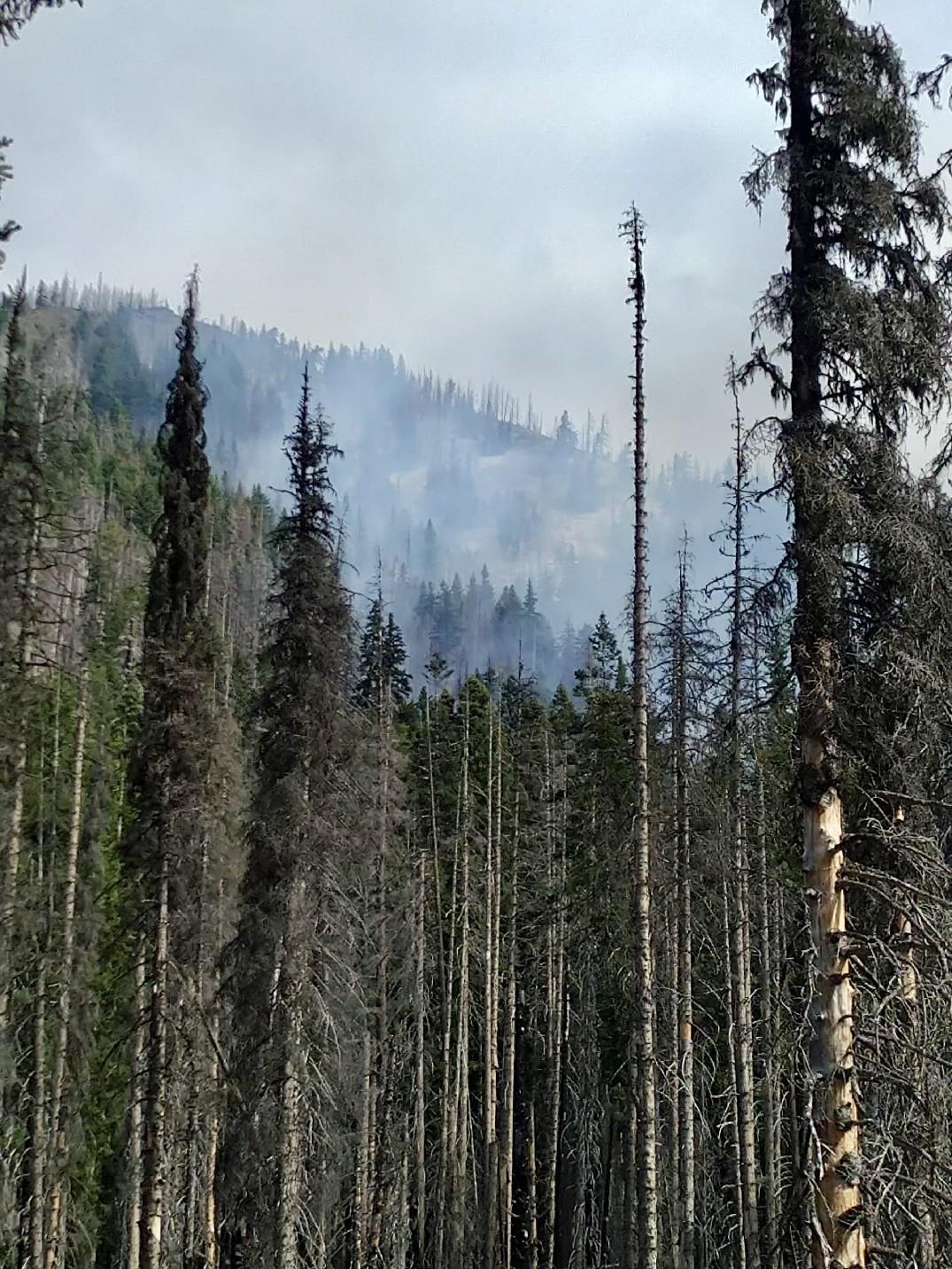 Lodgepole Fire on August 13, 2024