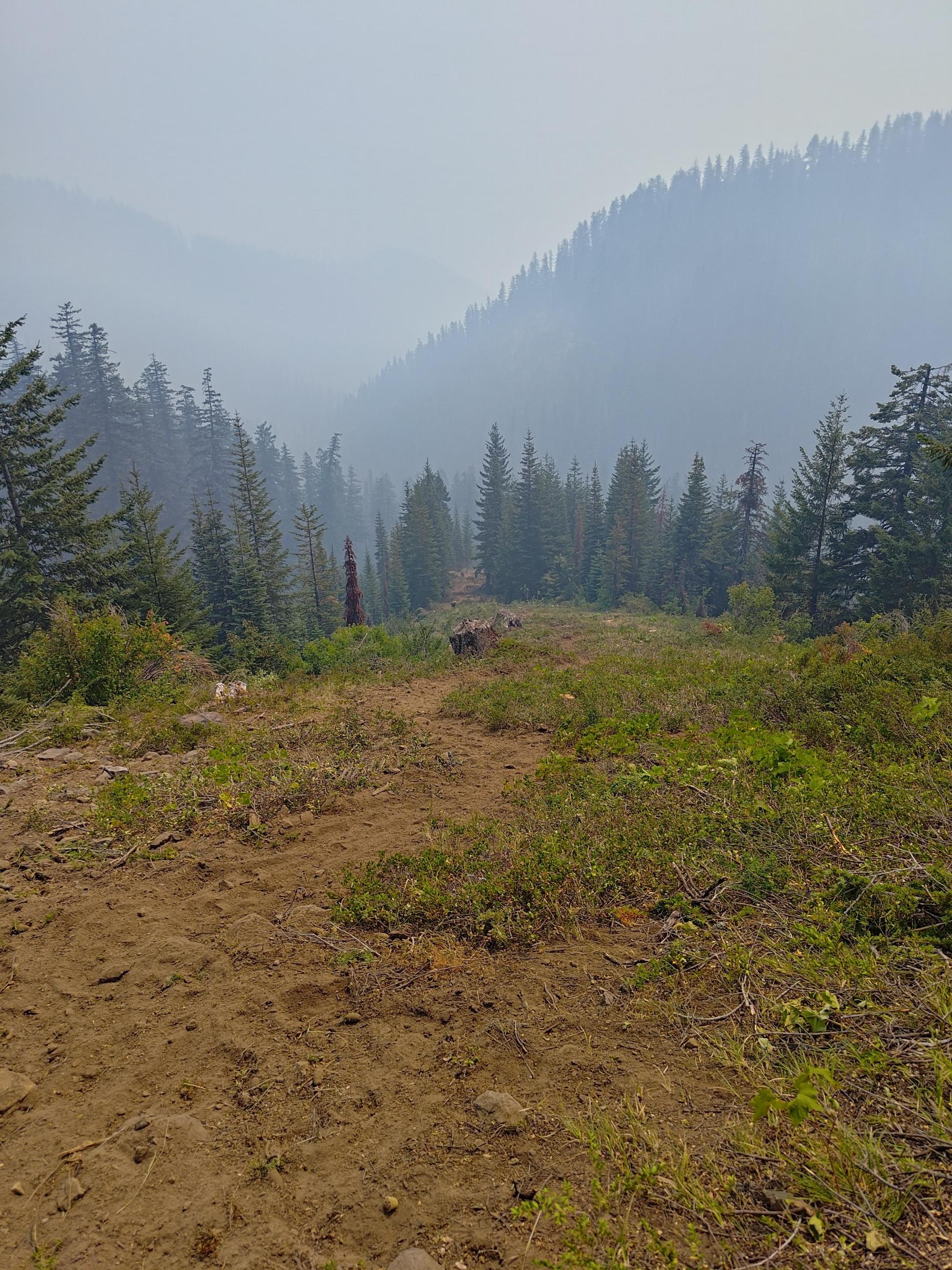 dirt path down steep slope