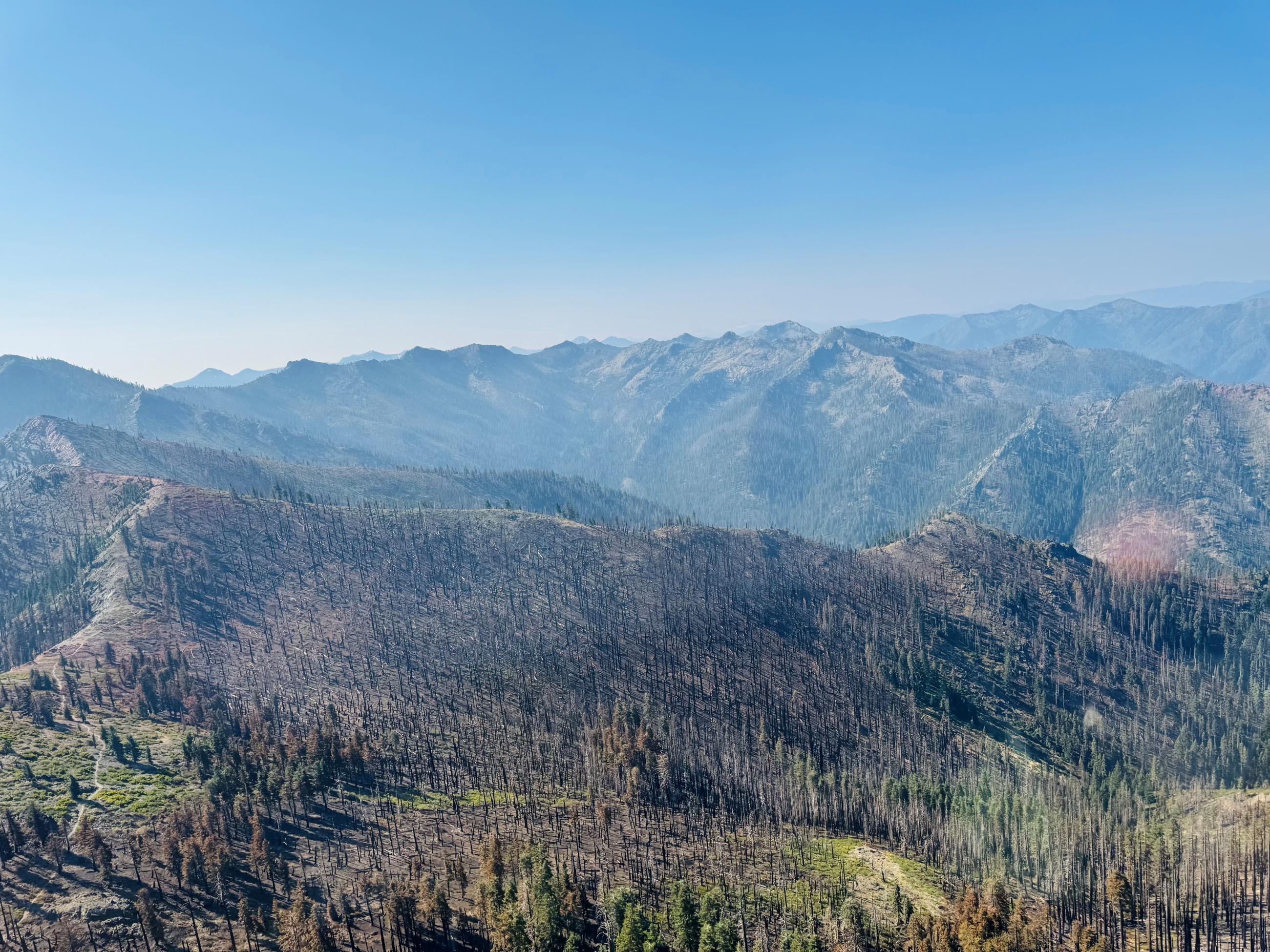 Low to high soil burn severity in the Marble Mountain Wilderness.