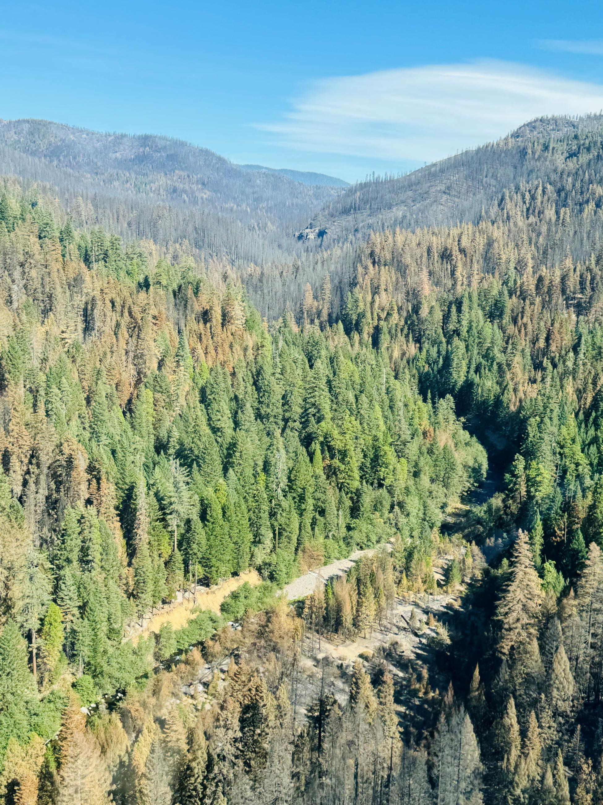 Image showing an Aerial View of Mill Creek Watershed within Park Burn Area on August 22, 2024