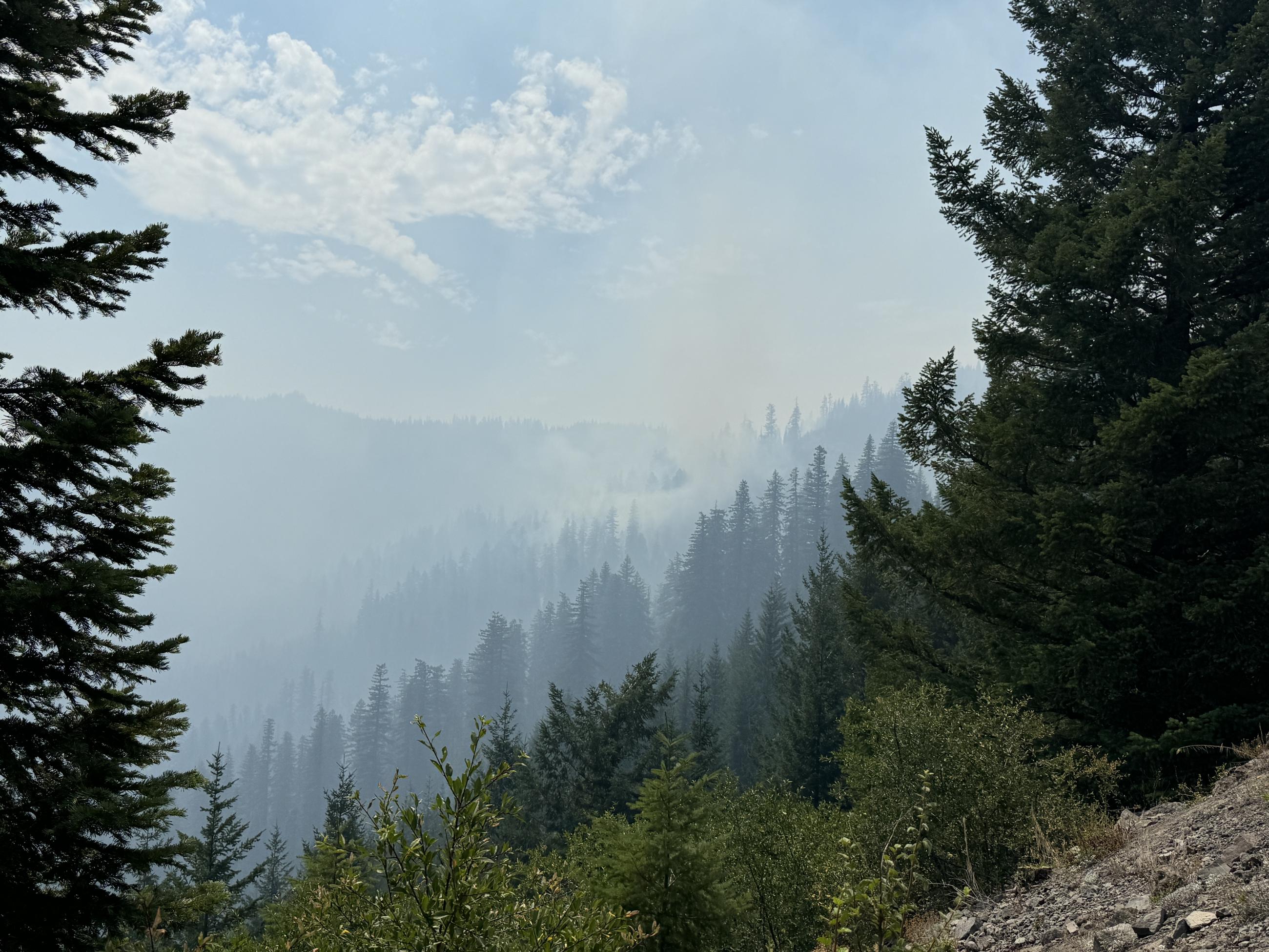 Looking across slope to smoking forest