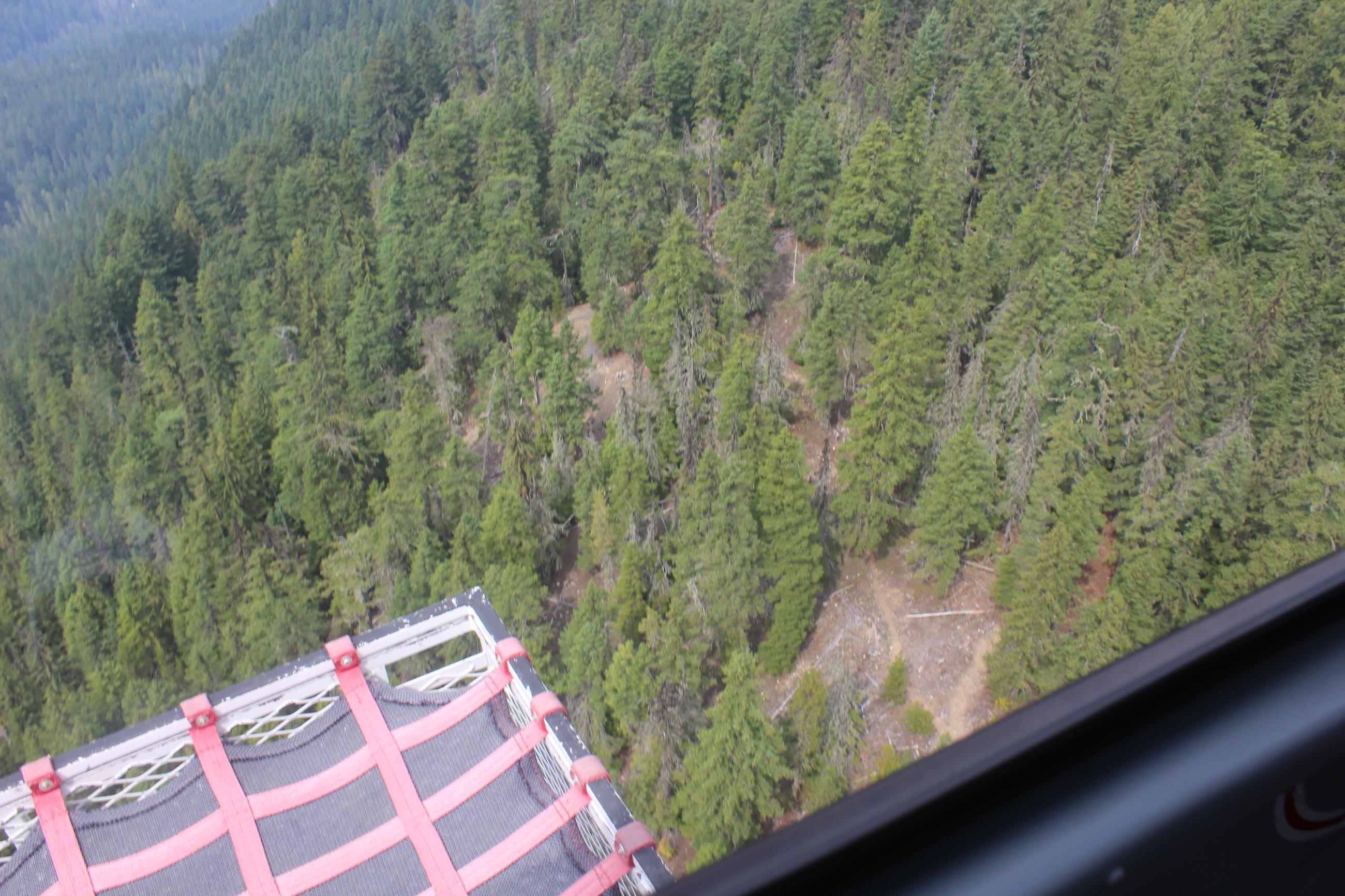 Aerial view of a remote mountainous forest and trail with a small clearing