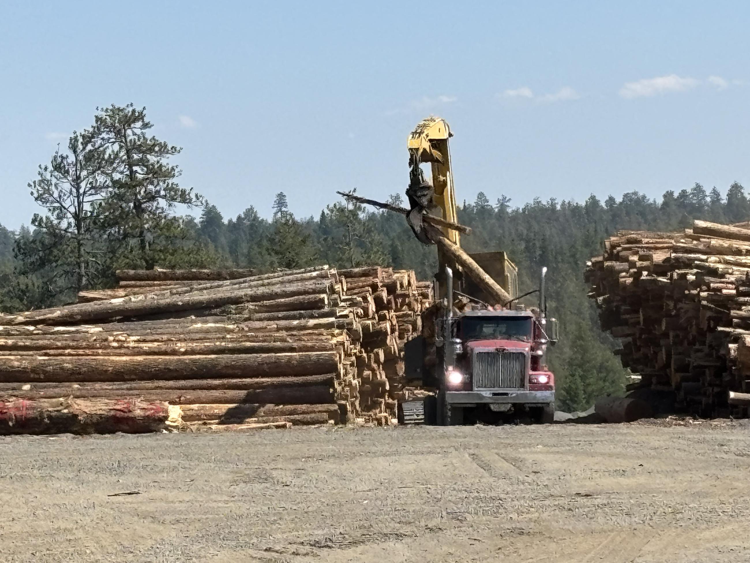 A truck loadaing logs from a neatly stacked pile. 