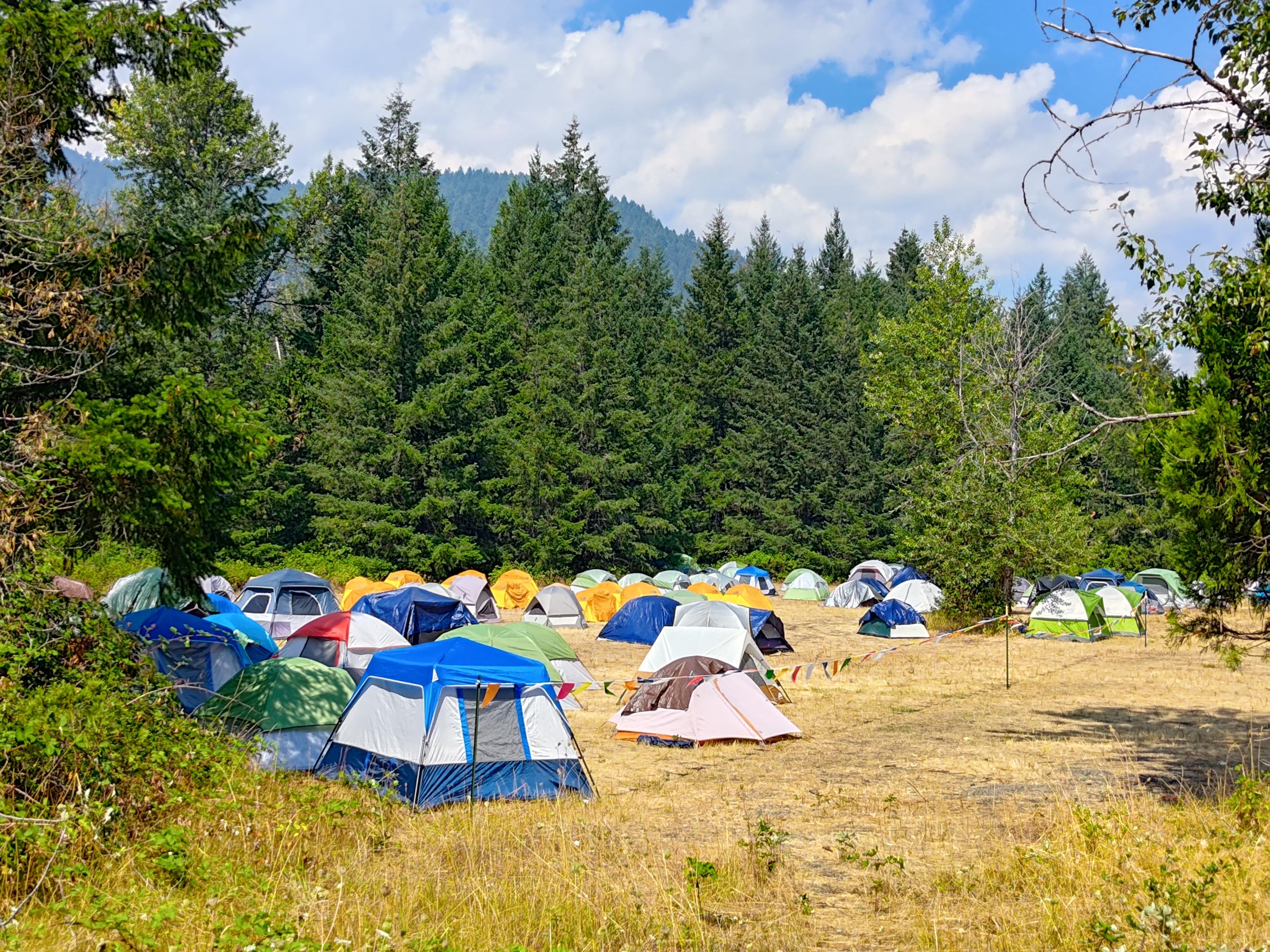 tents in a field near woods