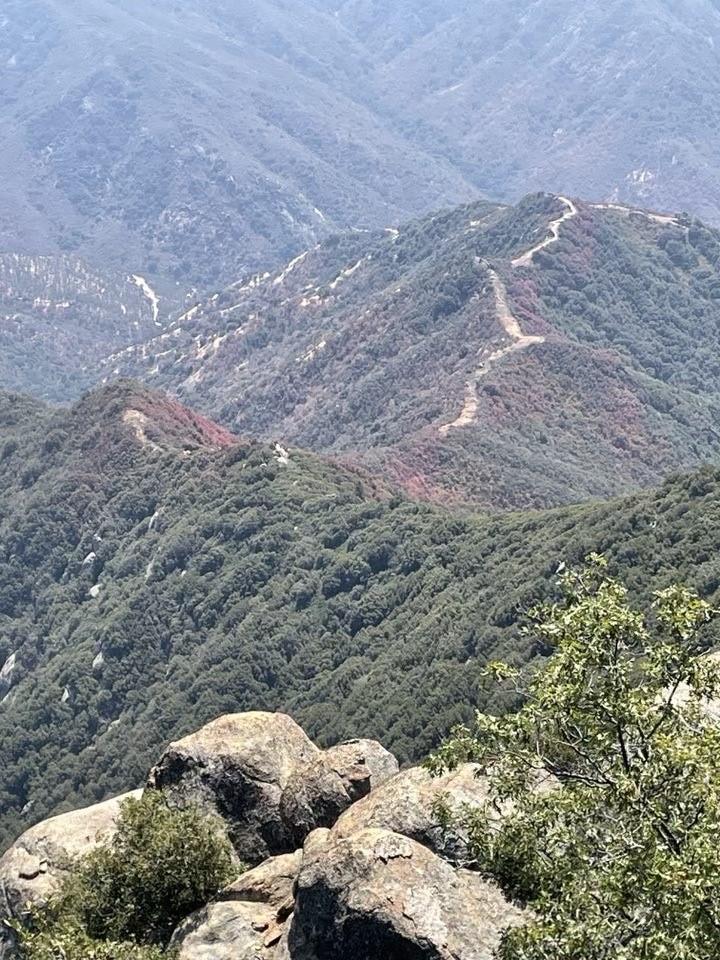 Taken August 25,2025, showing a handline constructed by Interagency Hotshot crew along Bennett Creek Ridge with fire retardant following the same ridge line.