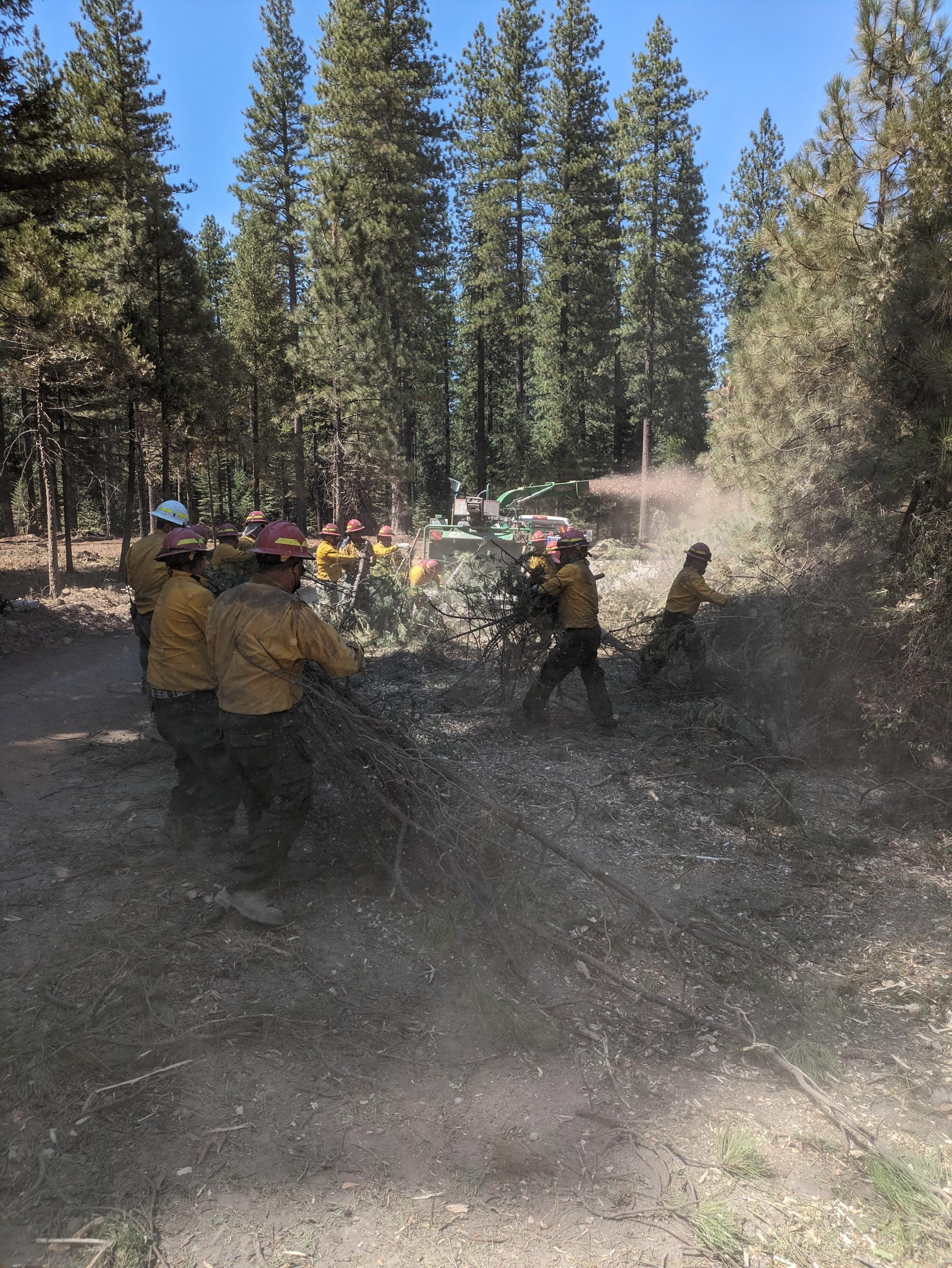 firefighters working in very dirty conditions load cut samplings into a chipper along a fireline