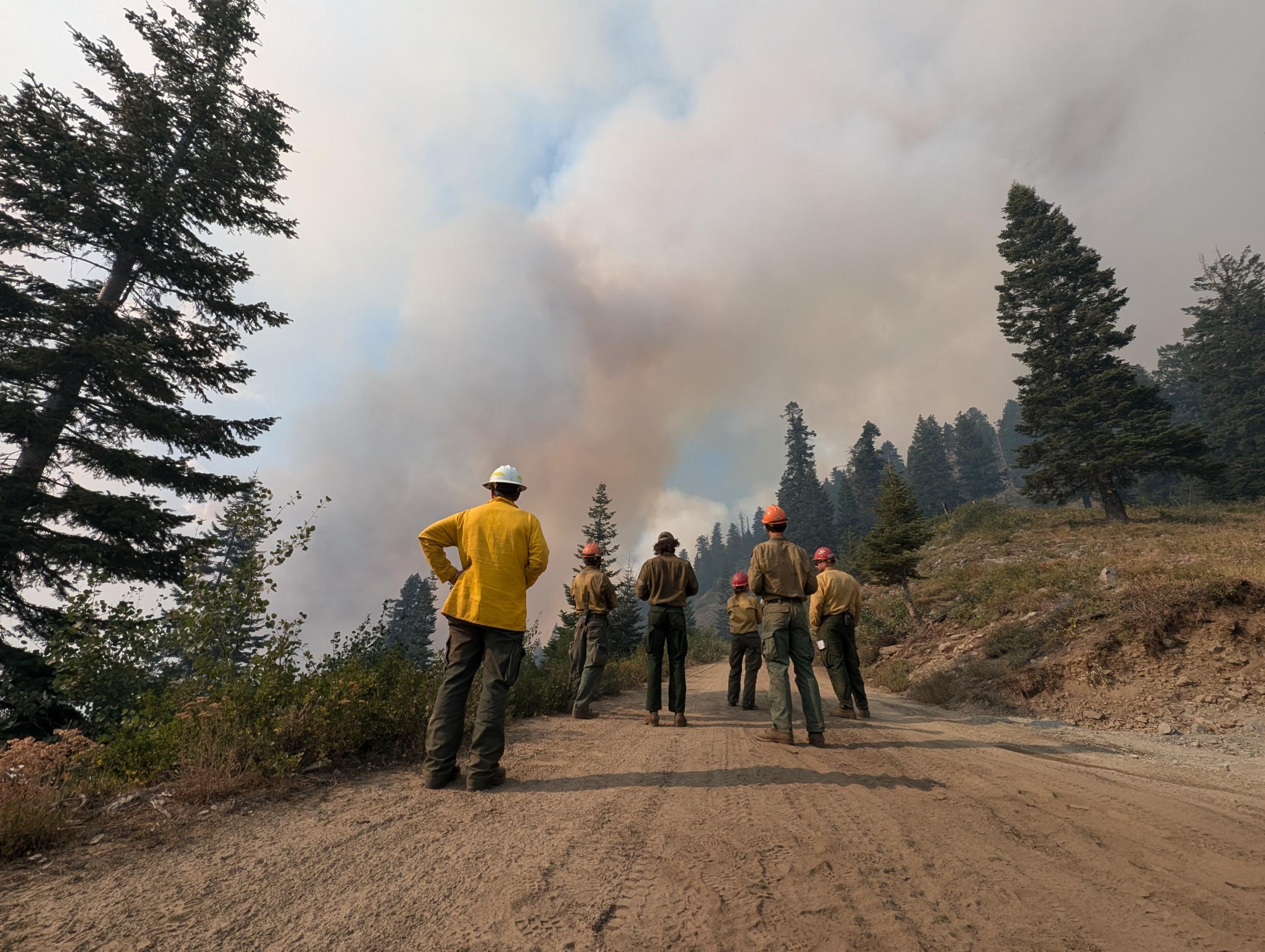 firefighters standing on road with smoke in background