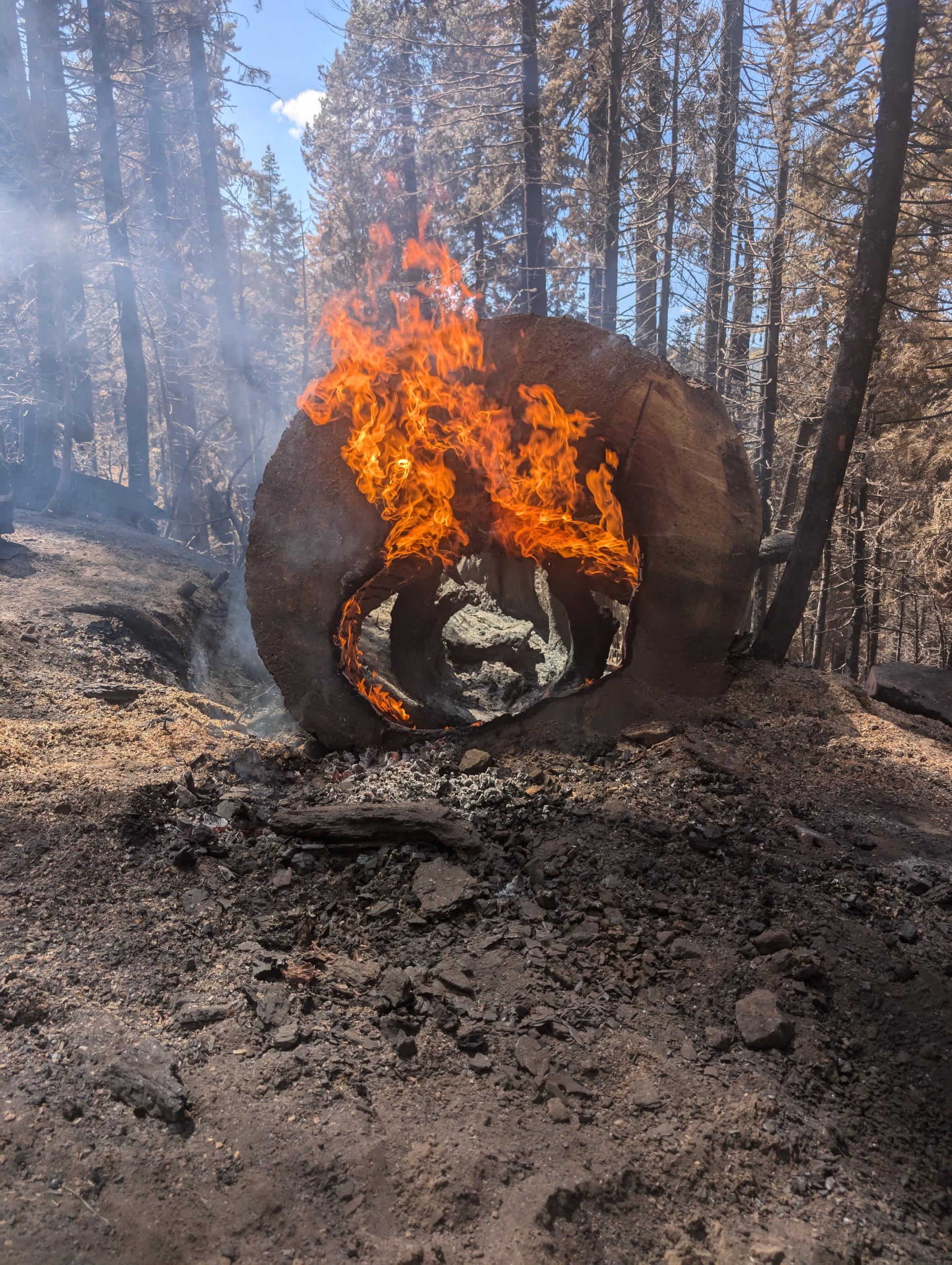 a large hollow log burns intensely