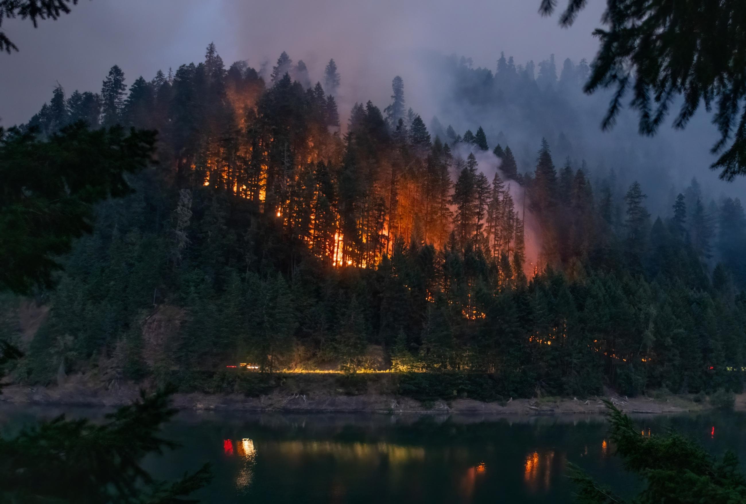 fire burns actively at night near the lake on the coffeepot fire, aug 2