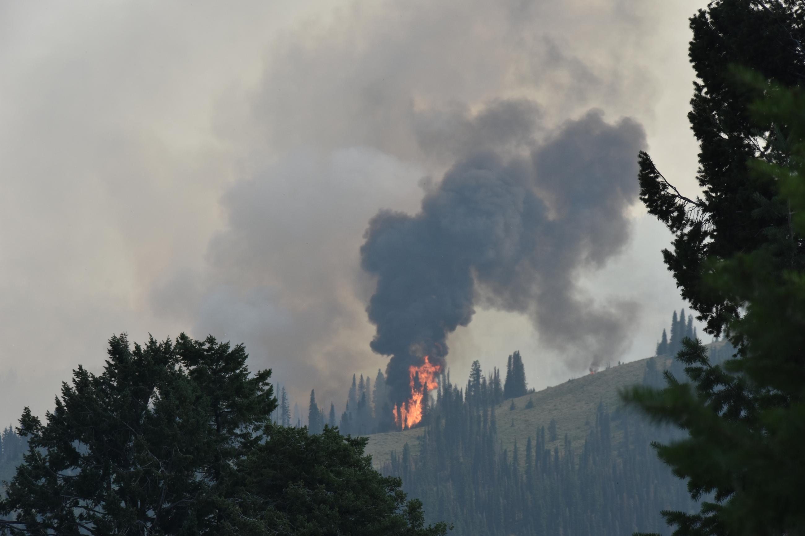 Subalpine fir burning and starting smaller fires up hill. 