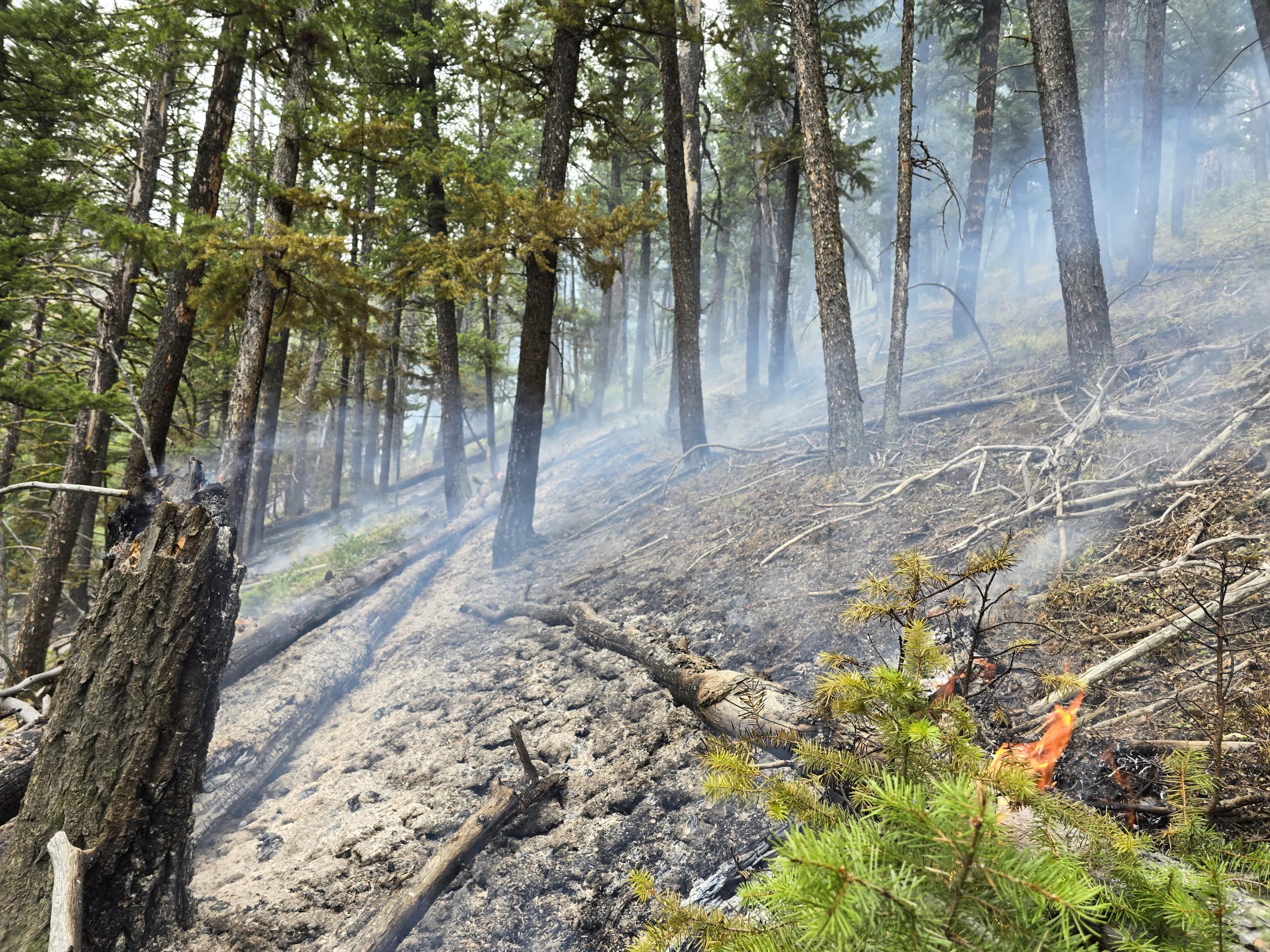 A steep hillside shows a thin cover of smoke from a smoldering fire