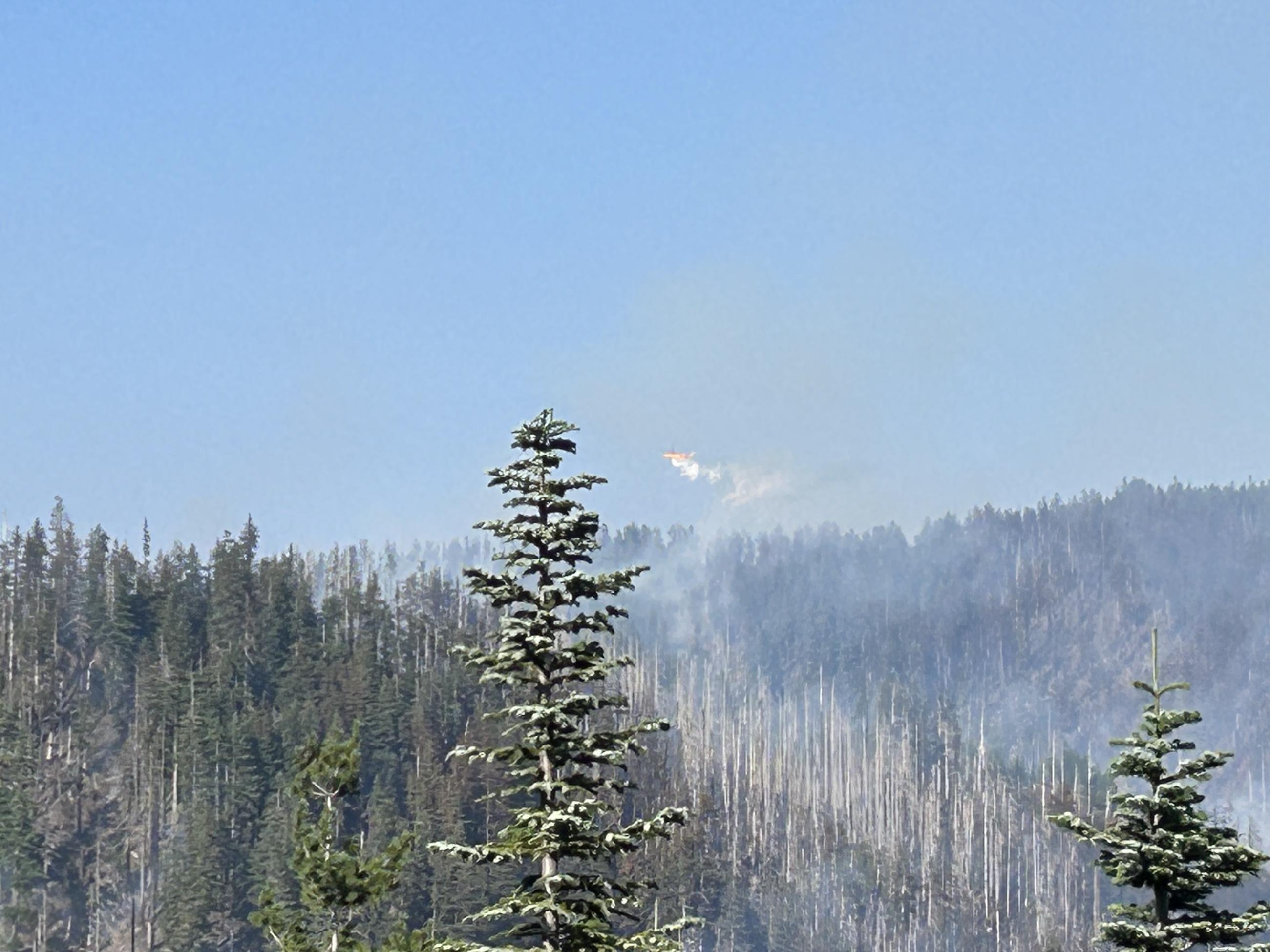 A plane flies far in the distance over a smoky forest with blue skies