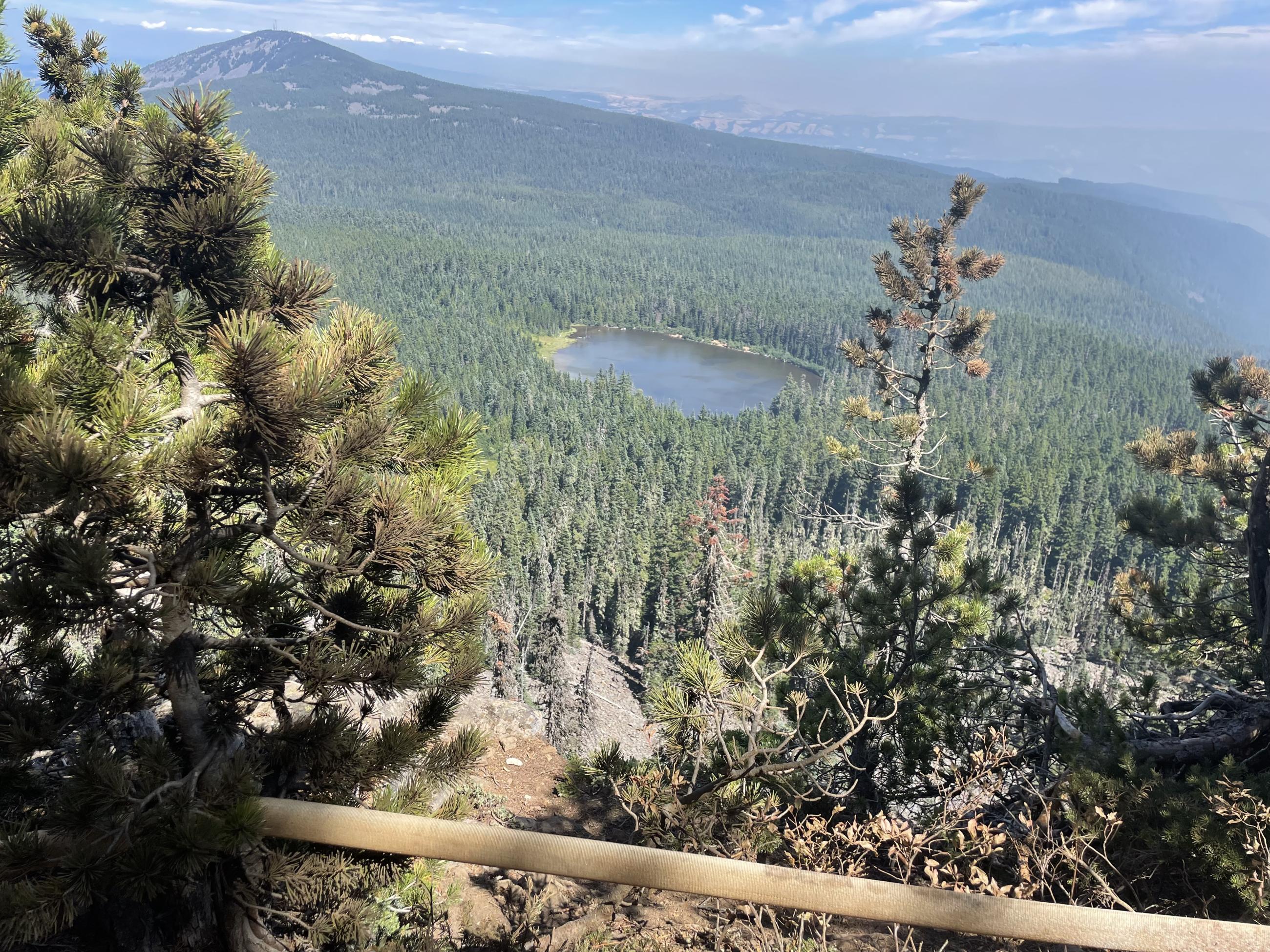 A tan hose lays across a view of a forested area with a lake in the distance 