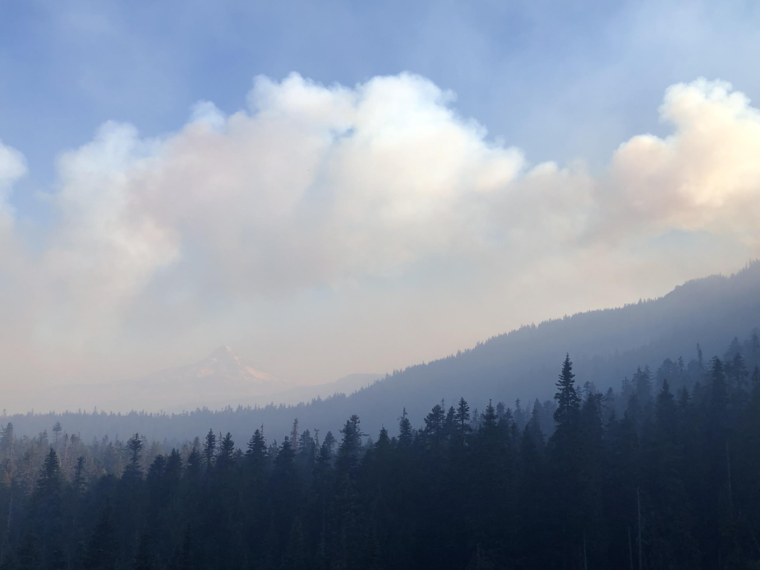 Trees cover the mountains with smoke haze 