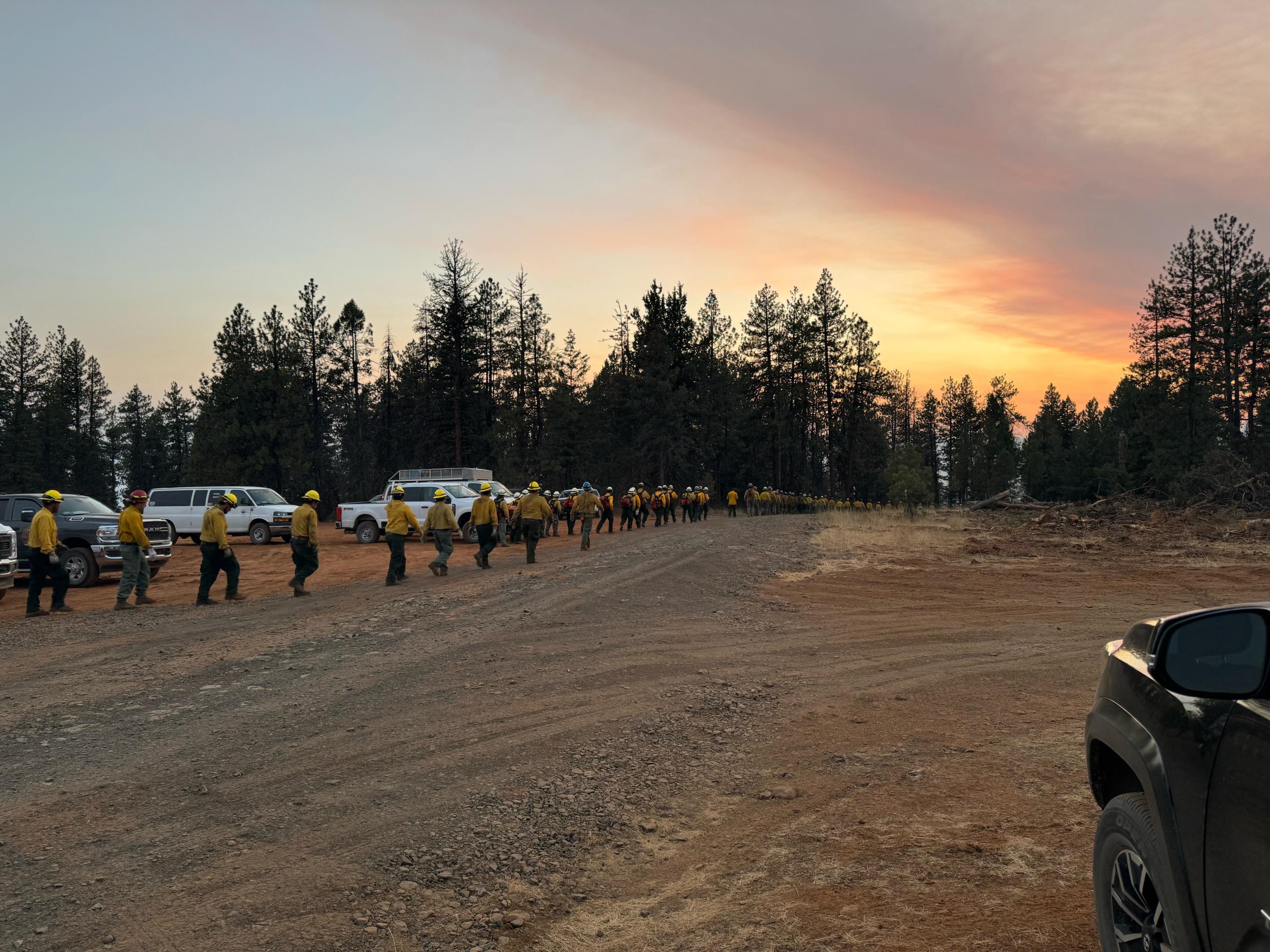 A crew of firefighters walk in a straight line into a sunset.
