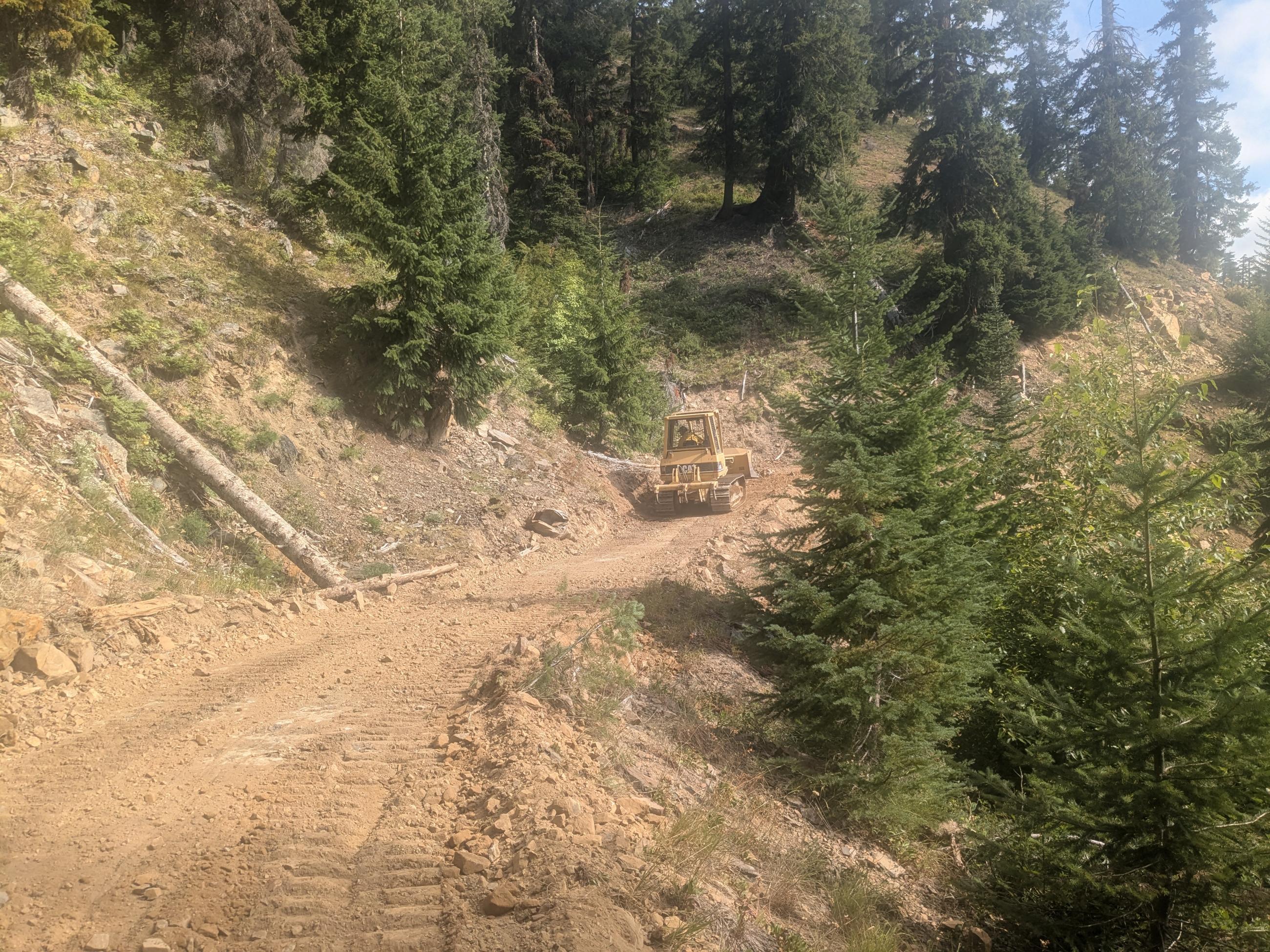 A bulldozer is seen on a bulldozed grade in a conifer forest