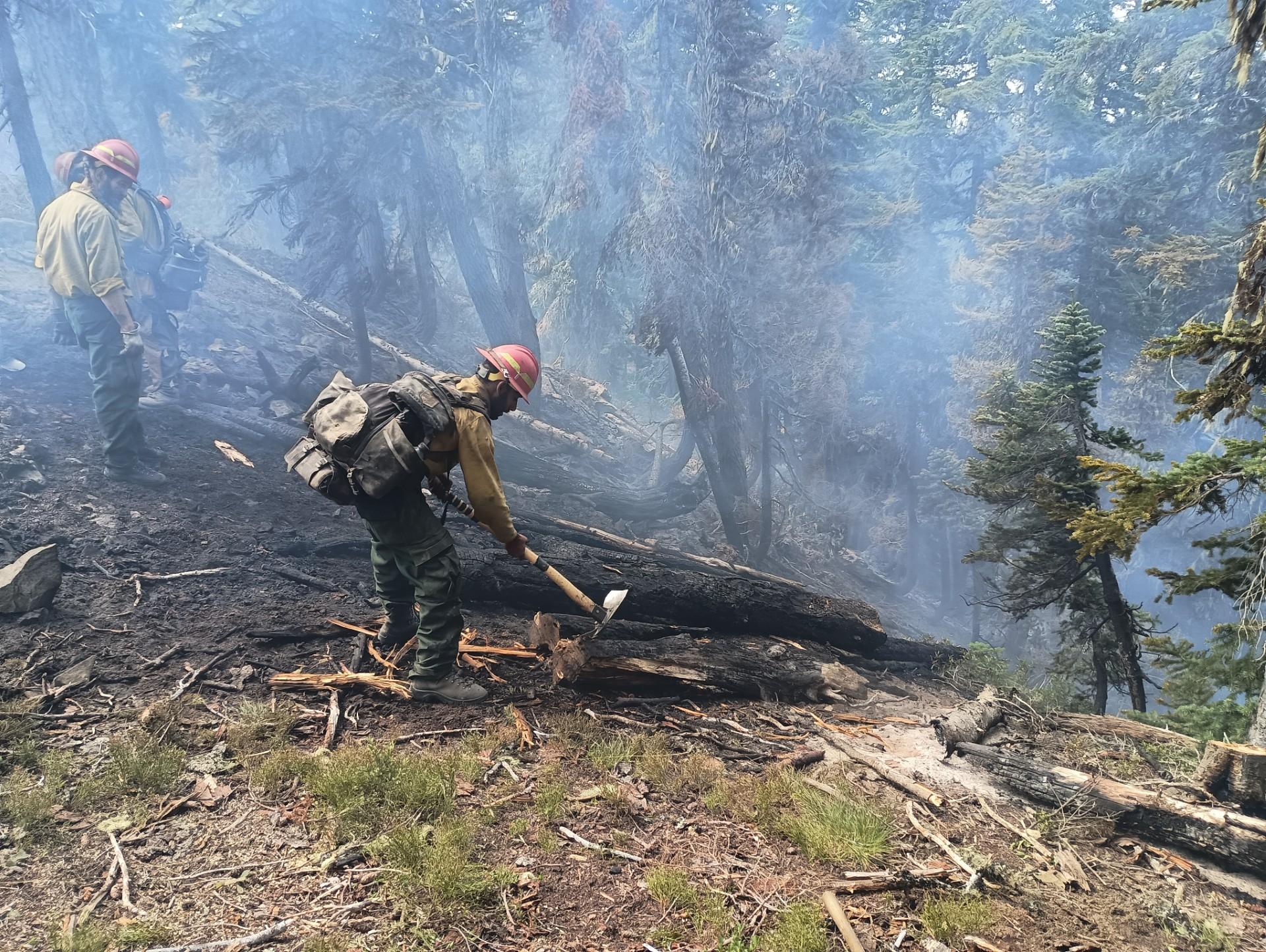 Three firefighters wearing yellow shirts, green pants, hard hats and gloves mop up in a smoky, burned forest. The man in the foreground is wearing a large pack and uses a hand tool to break apart a smoldering log.