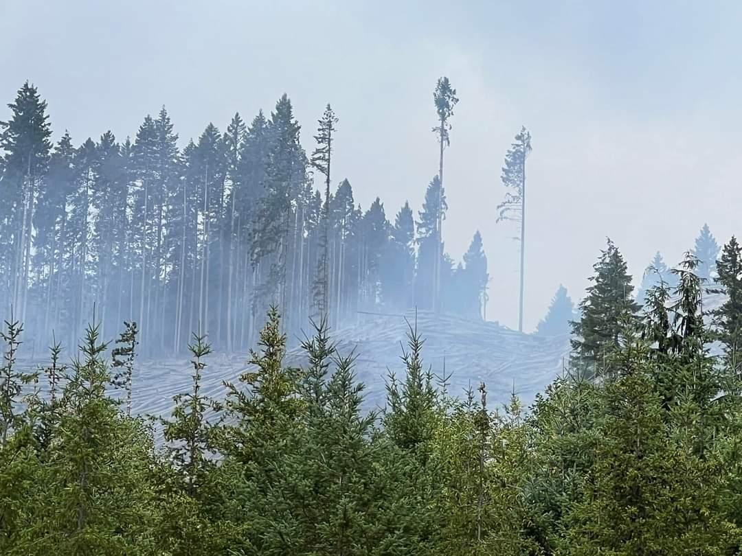 2620 Road Fire burning on the hillside 08/17/2024