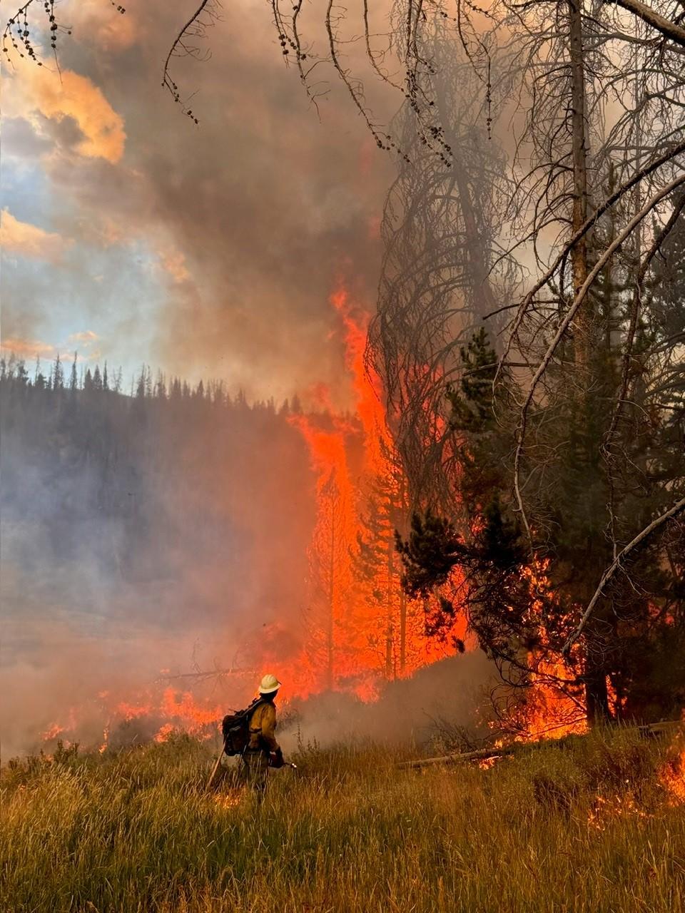 Firefighter on Fish Creek Fire