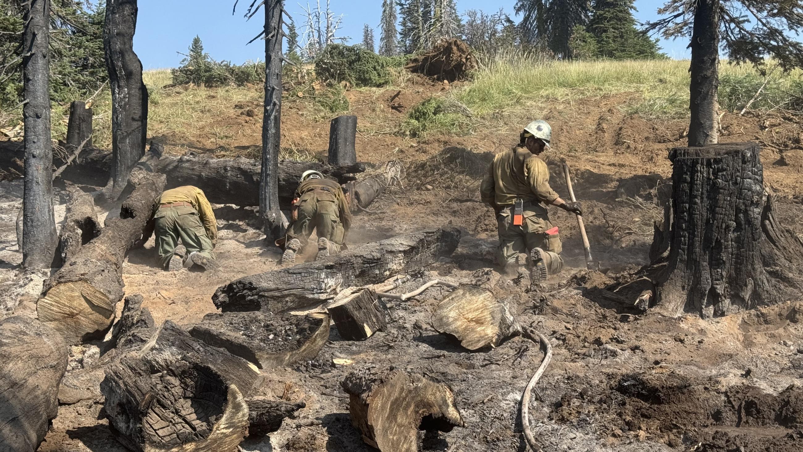 Cold Trailing Crews 08-26-2024