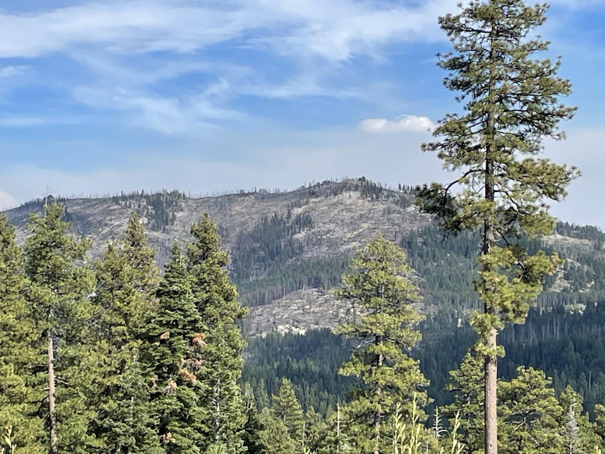 Dollar Fire Smoke View 08-27-2024