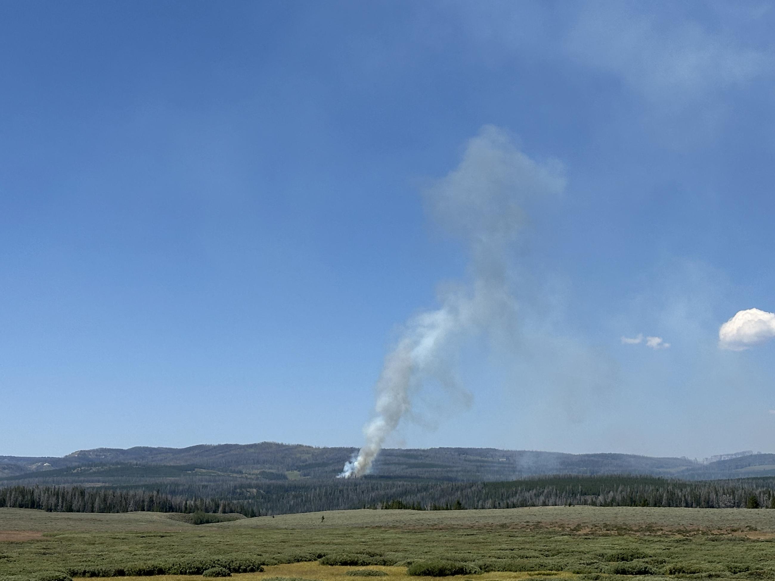 Smoke column rises out of forest