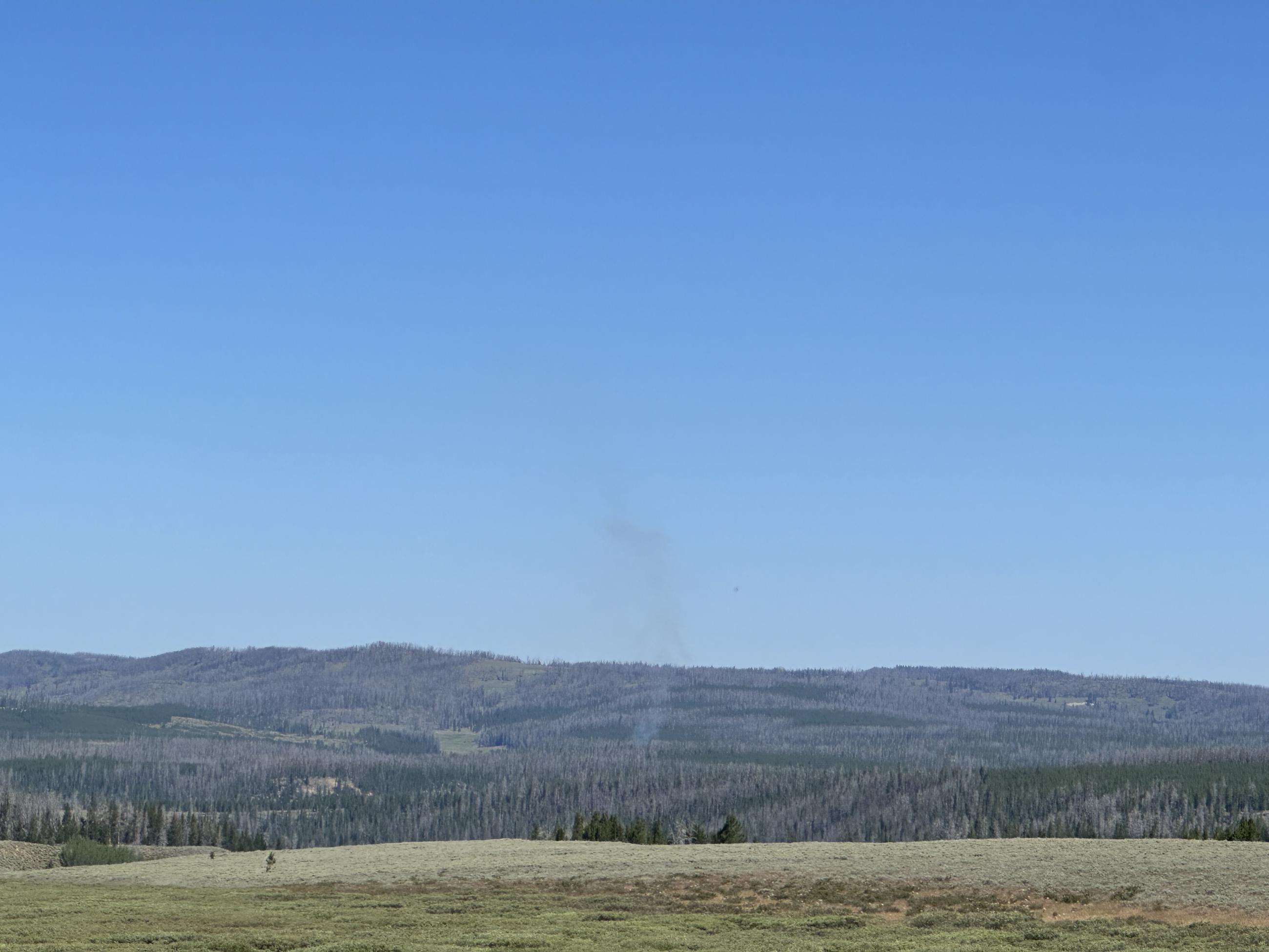 Smoke rises out of the forest