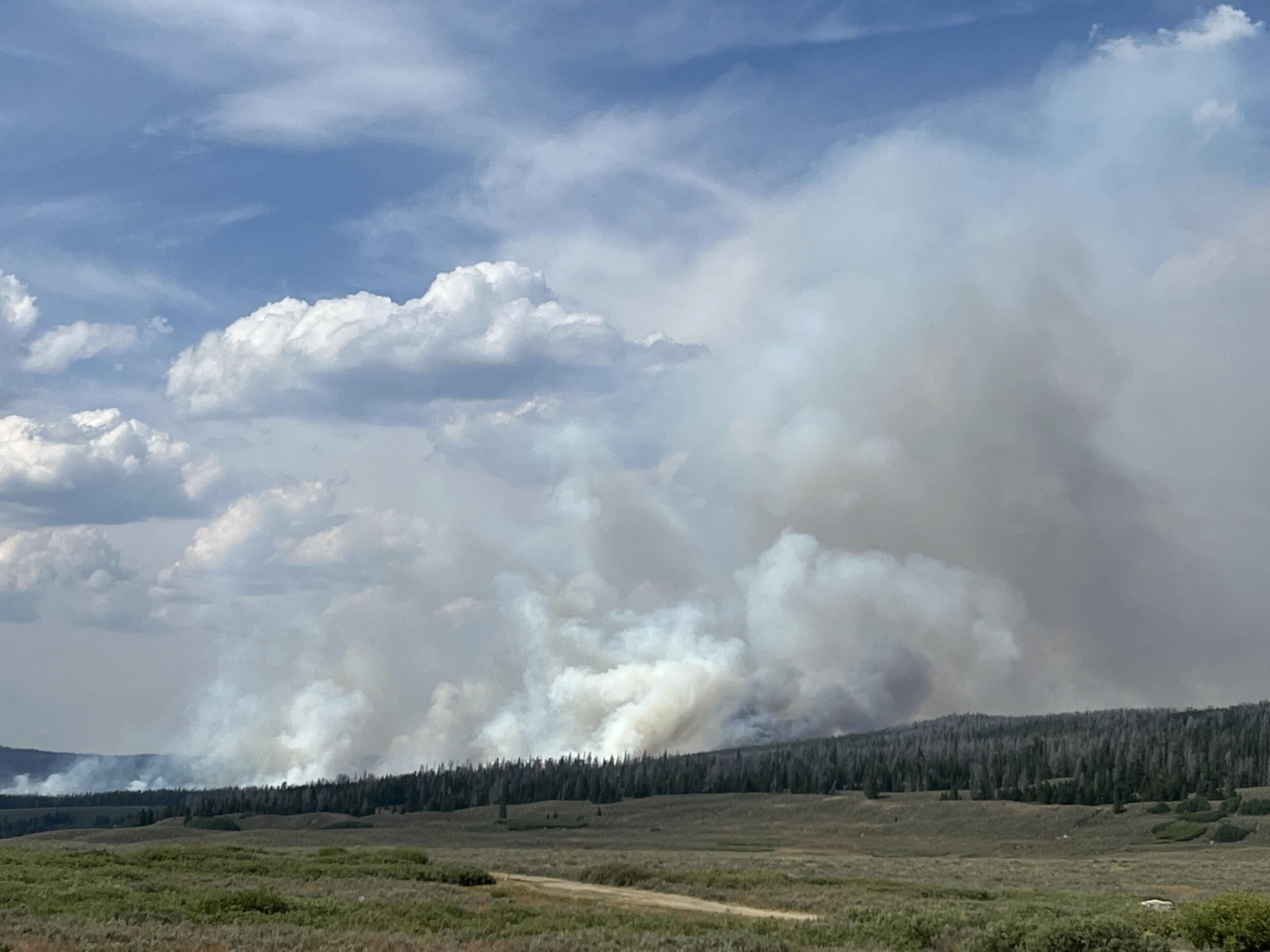 Active fire behavior on Leeds Creek Fire area