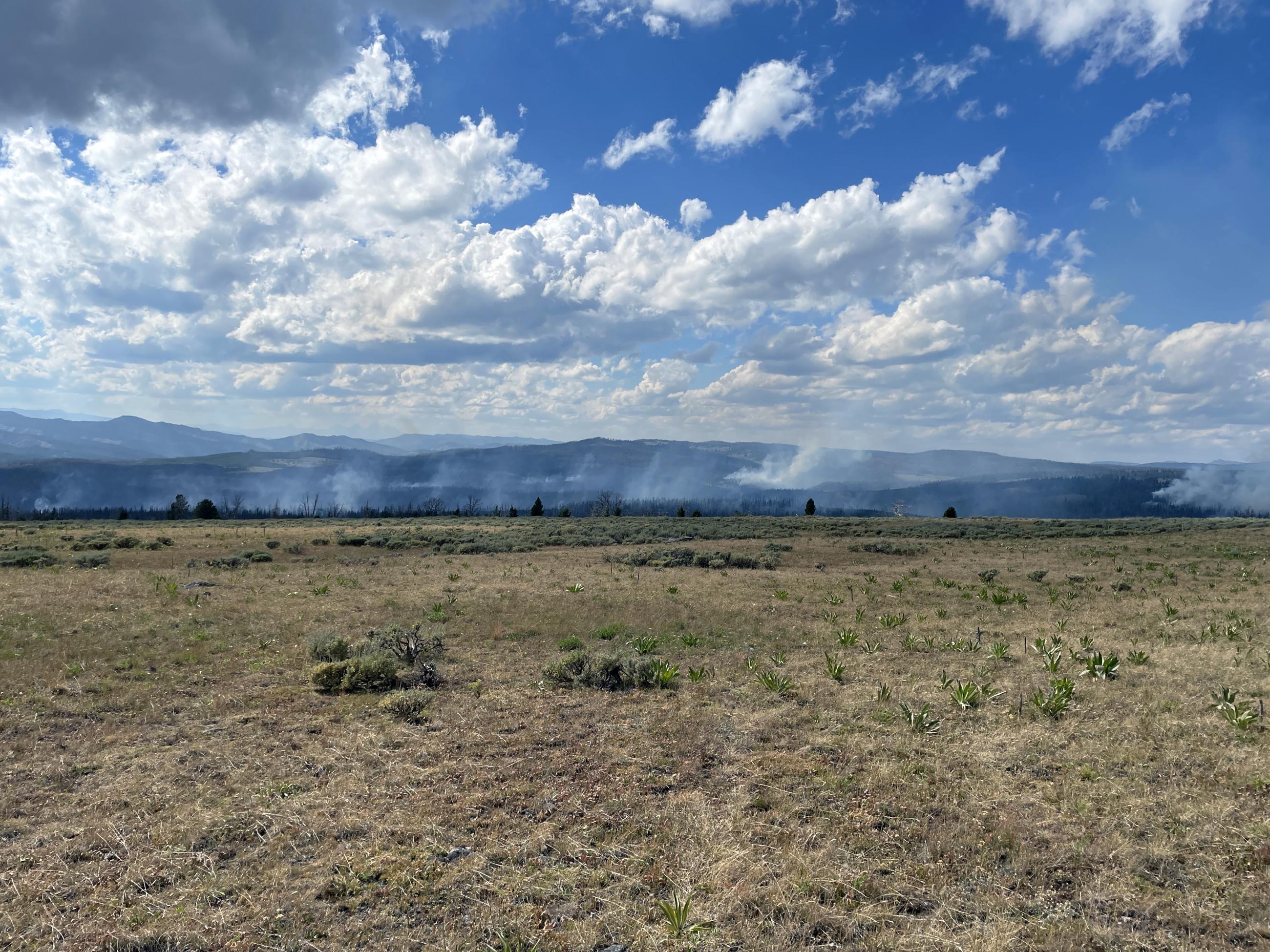 Creeping and smoldering fire behavior on the Leeds Creek Fire