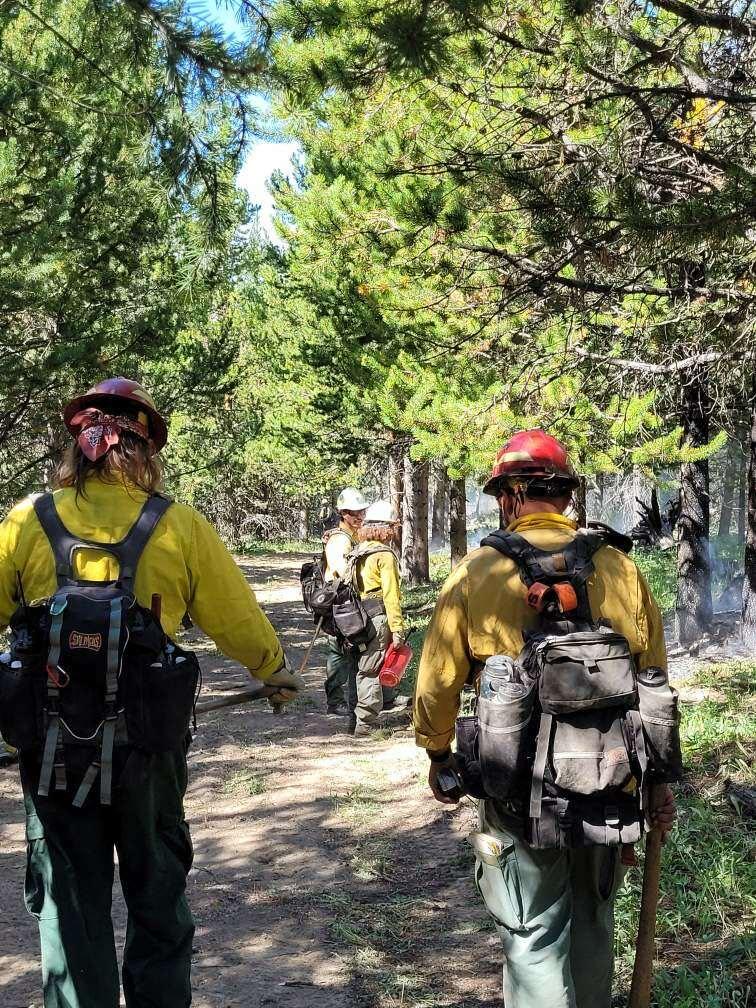 Fire crews working in the forest