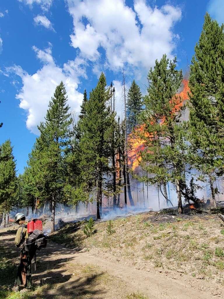 Fire crews work to fight Leeds Creek Fire