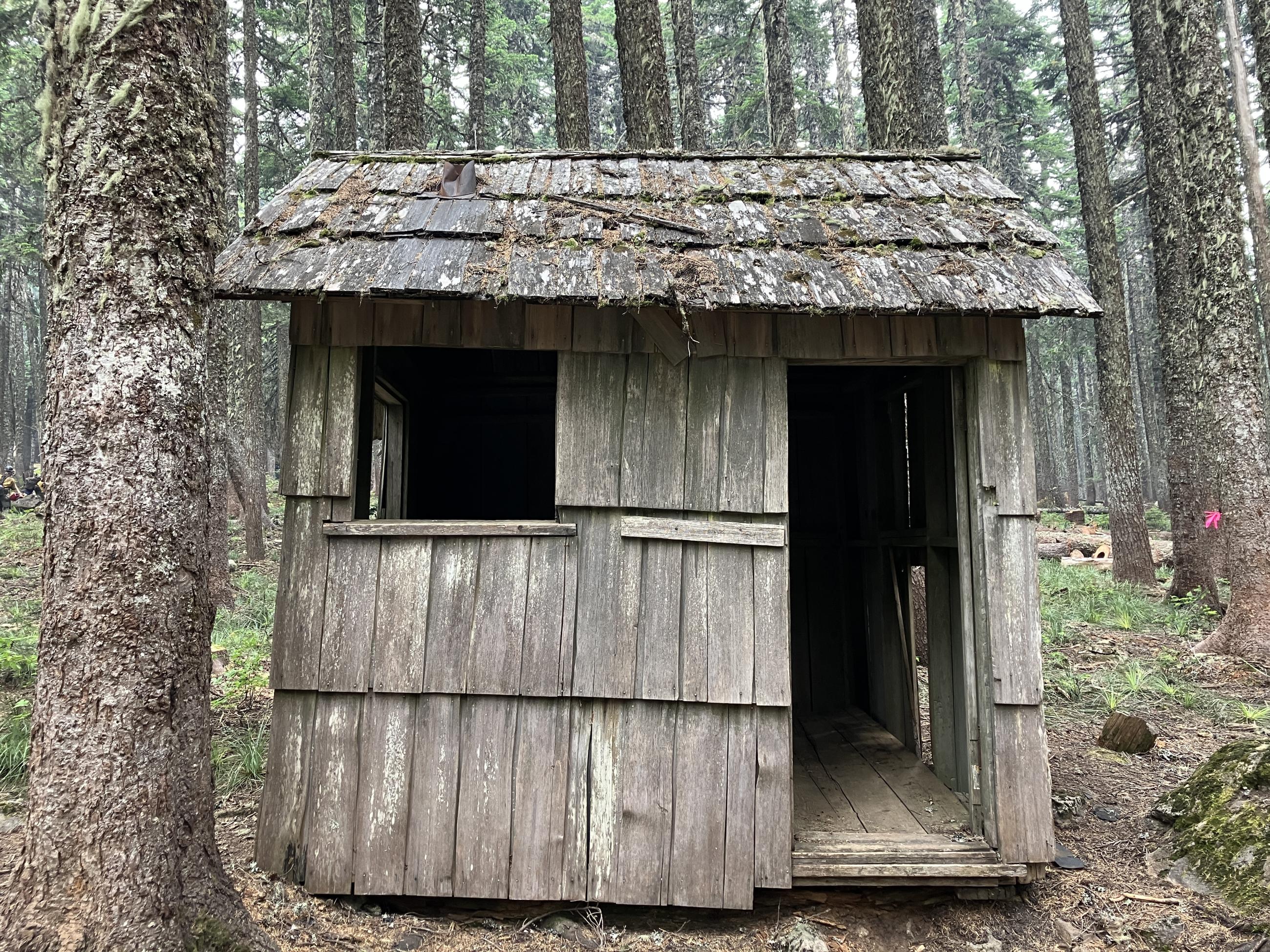 A small cabin sits in the woods with no window or door