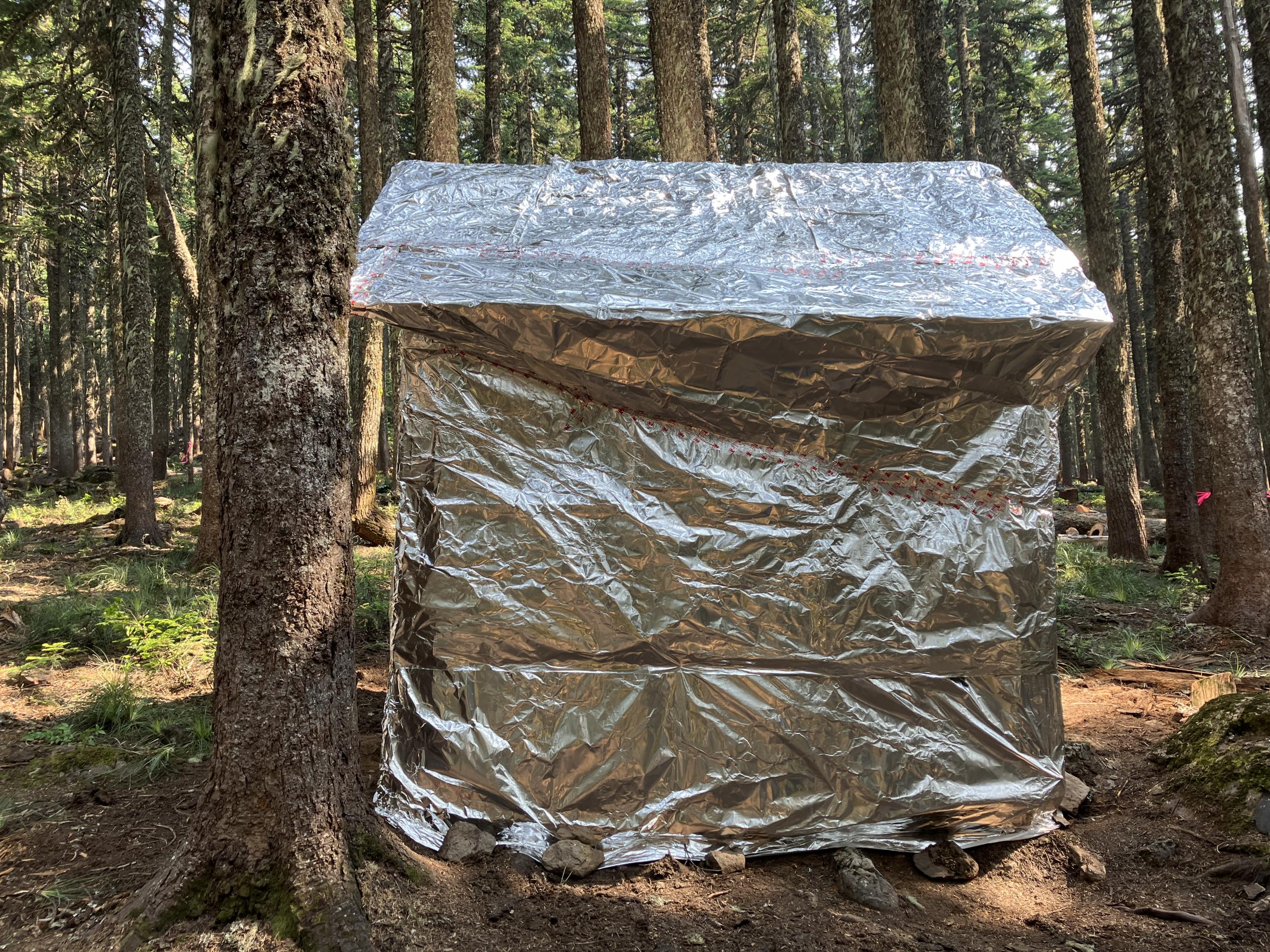 A cabin shaped silver wrapped building sits in the forest