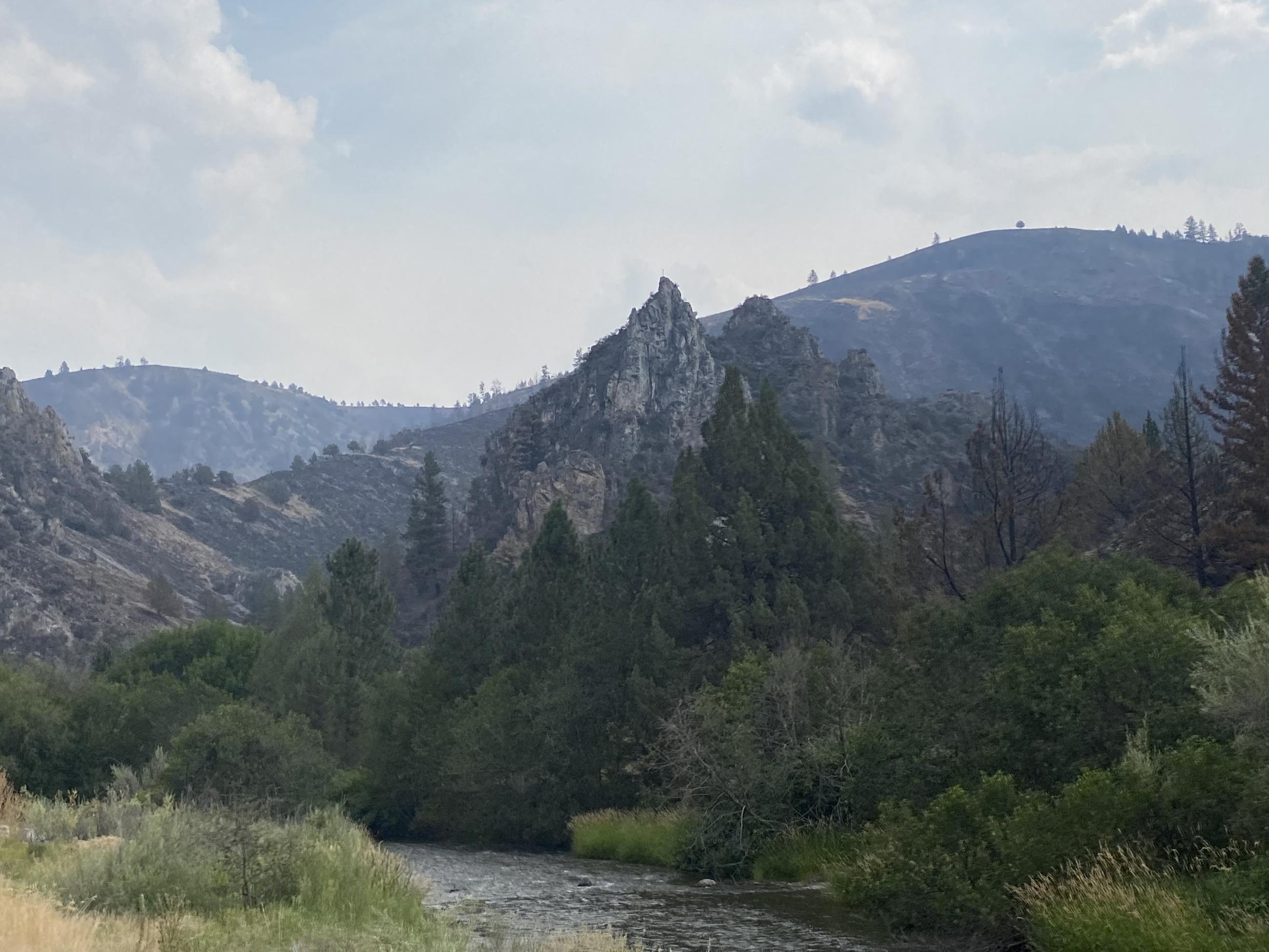 a river flows through a forested canyon