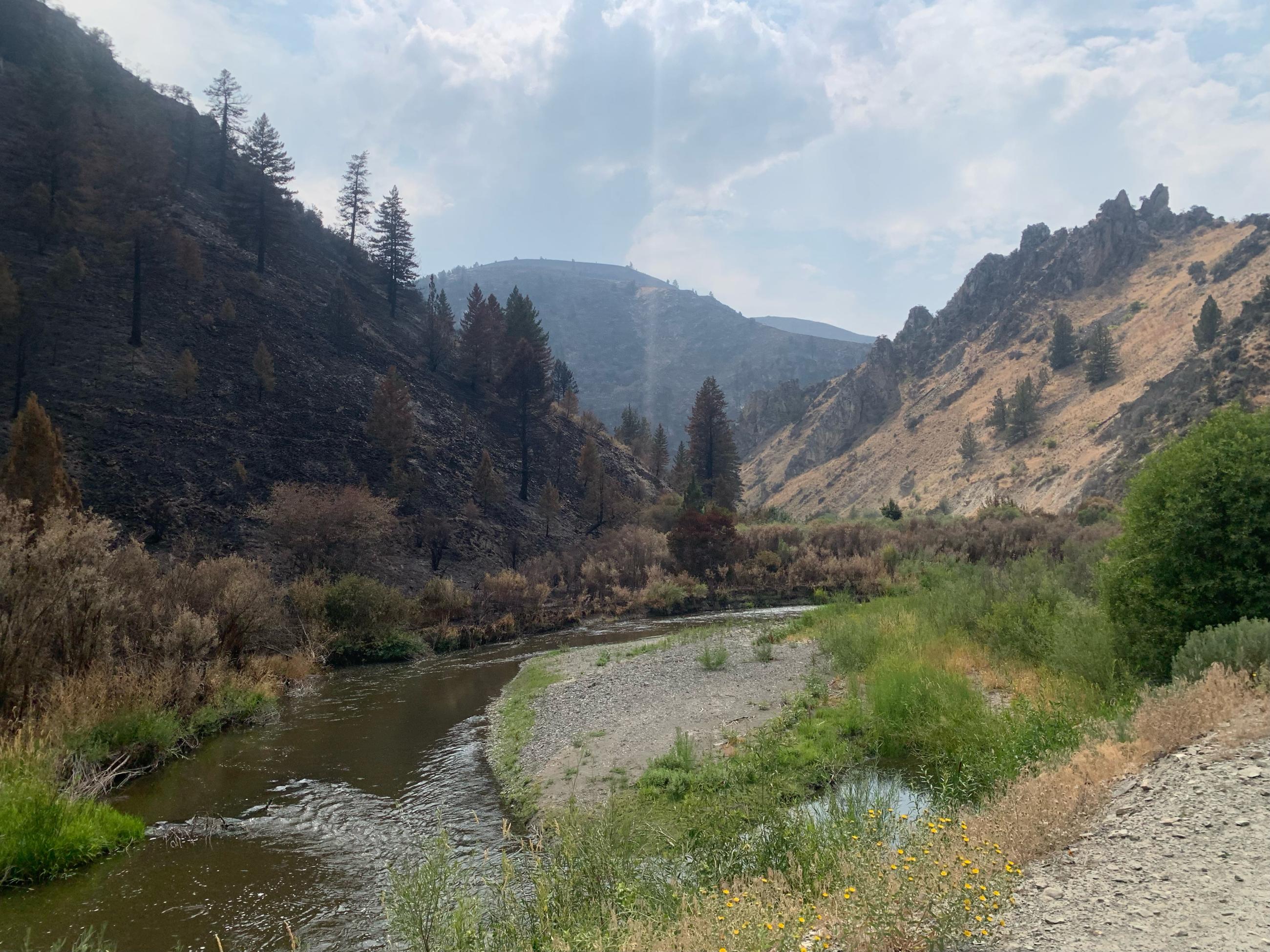 scenic view of a canyon with river with dry brown rocky hillsides and scorched vegetation