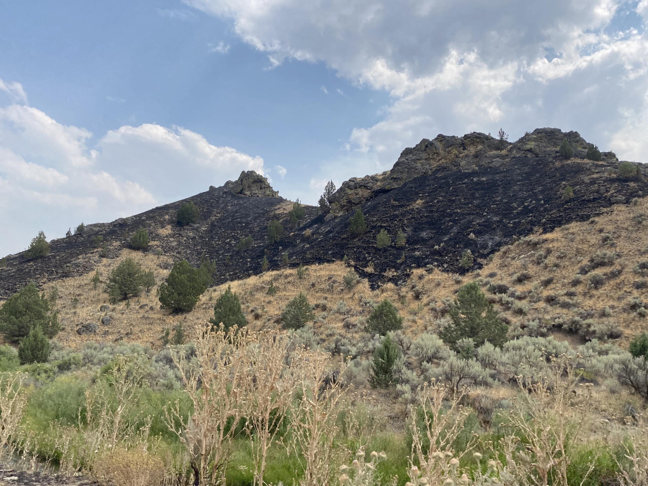 a hillside that is blackened at the top with dry brushy vegetation towards the bottom