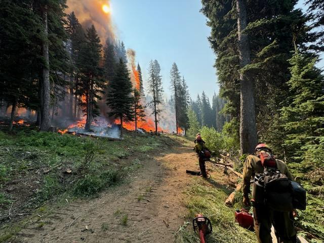 Firefighters approach the burning edge of the fire