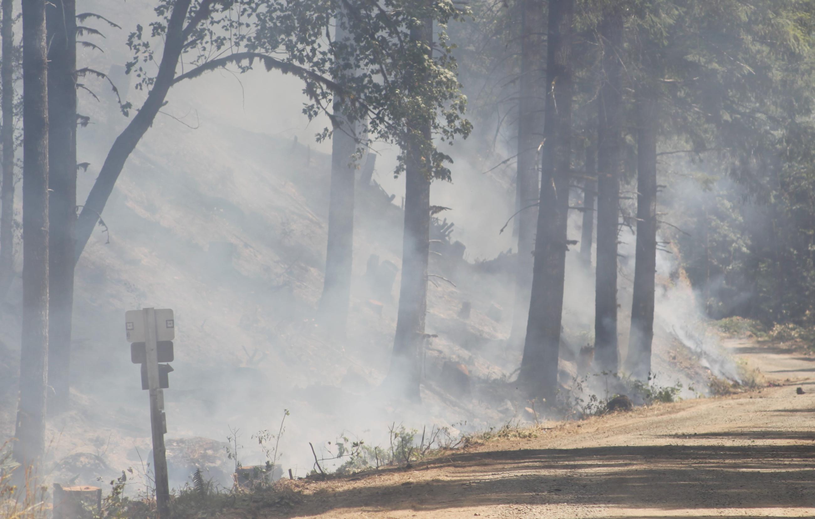 FS Road 1509 functioning as a containment line on the Ore Fire.  