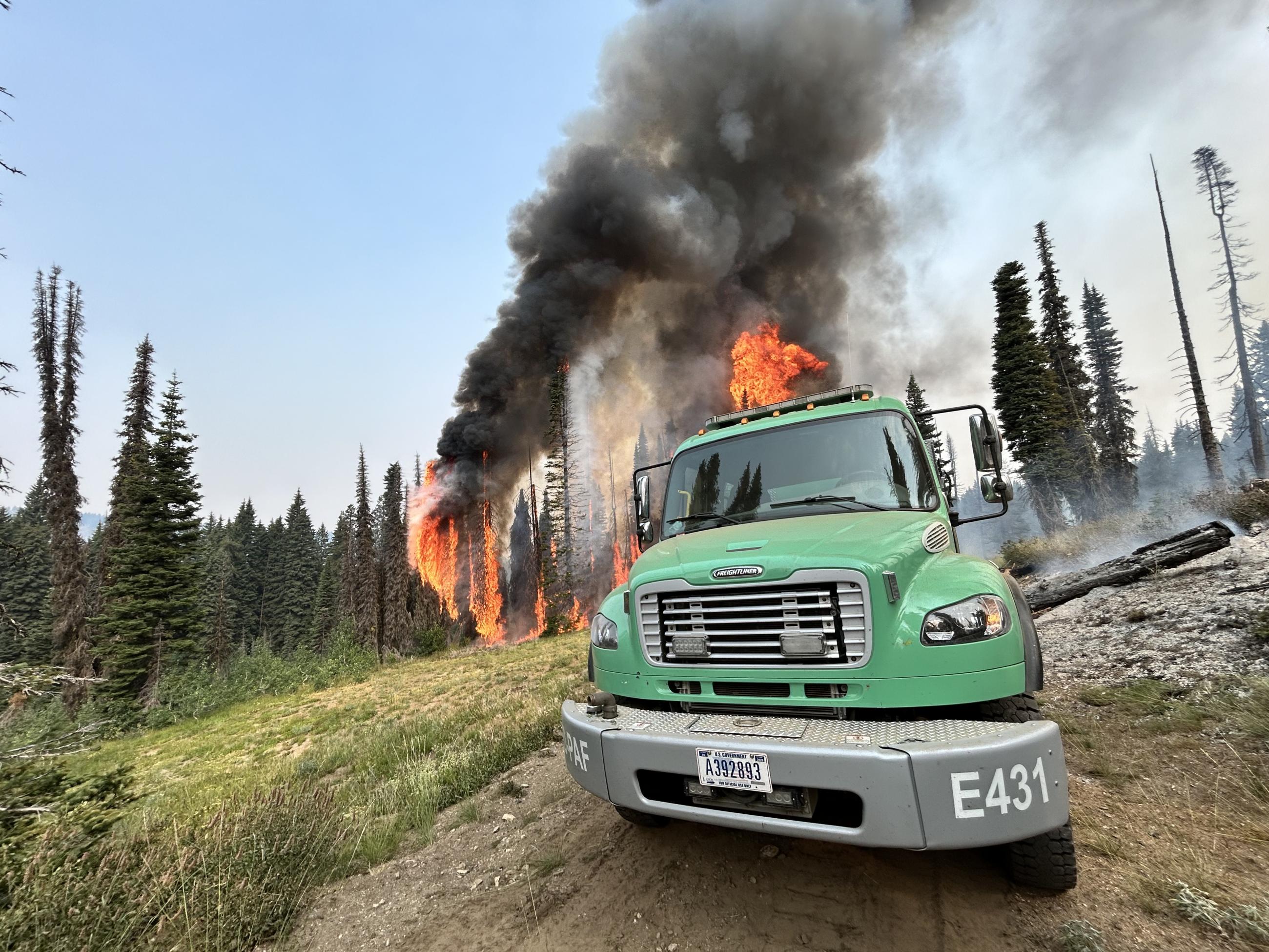 Local Payette Forest engine in subalpine fir