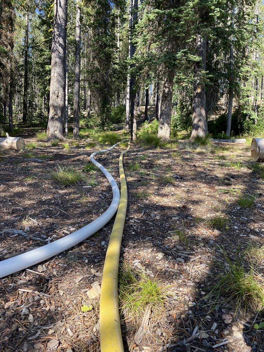 Hoses stretching into the forest